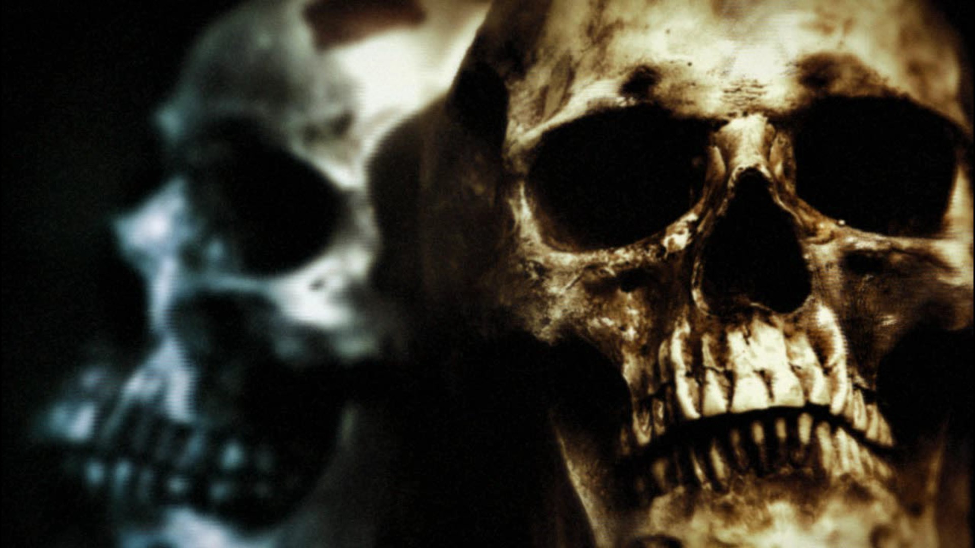 Free download wallpaper Dark, Skull on your PC desktop