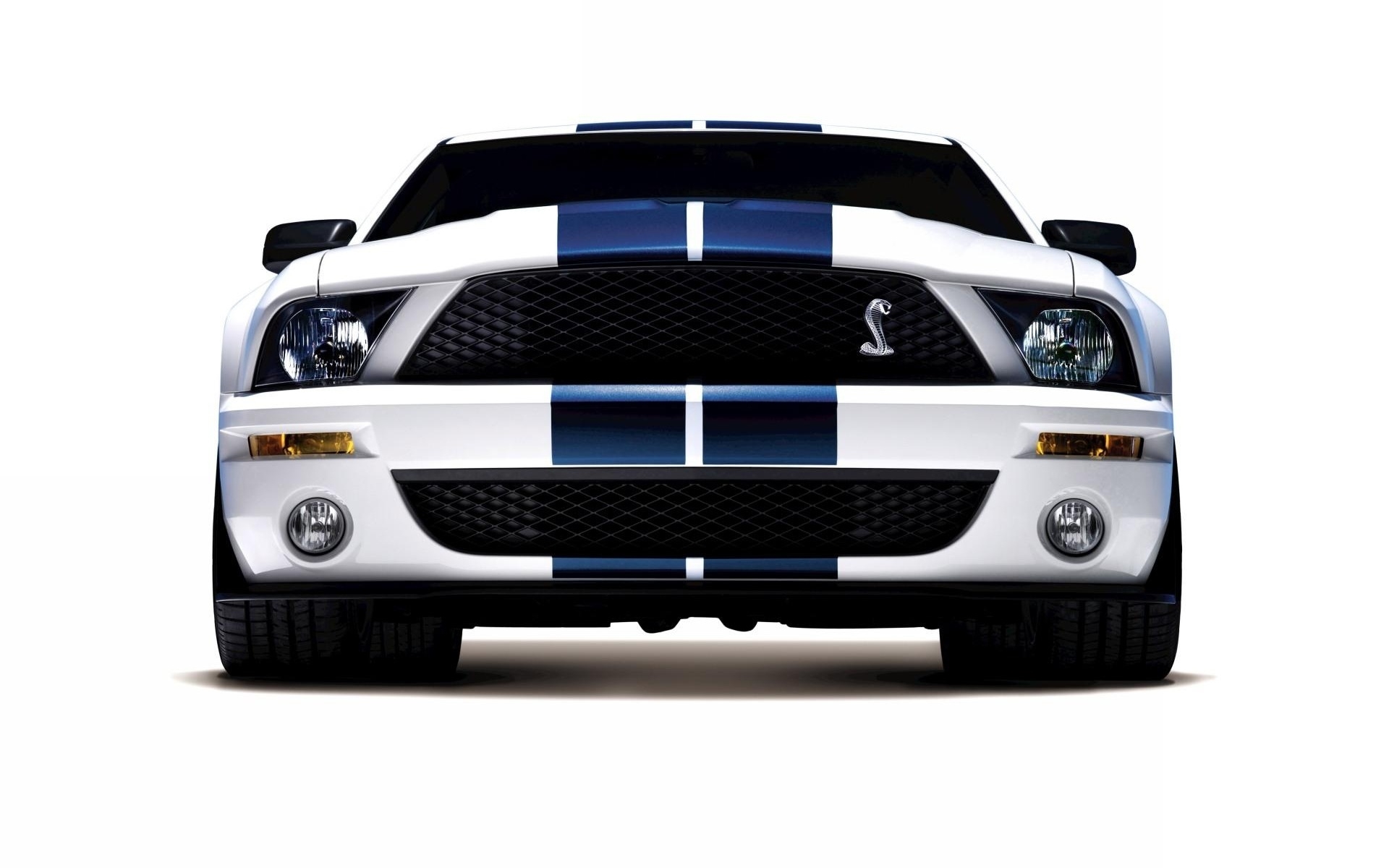 349736 Salvapantallas y fondos de pantalla Ford Mustang Cobra en tu teléfono. Descarga imágenes de  gratis
