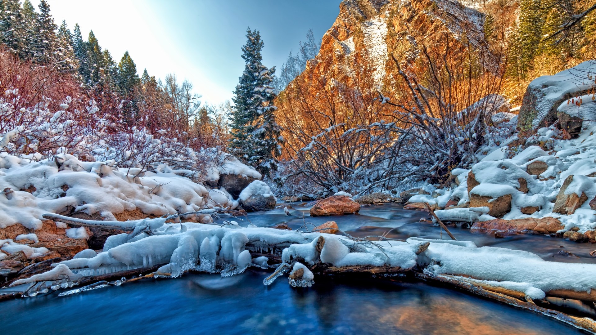 Free download wallpaper Ice, Forest, Tree, Earth, Stream on your PC desktop