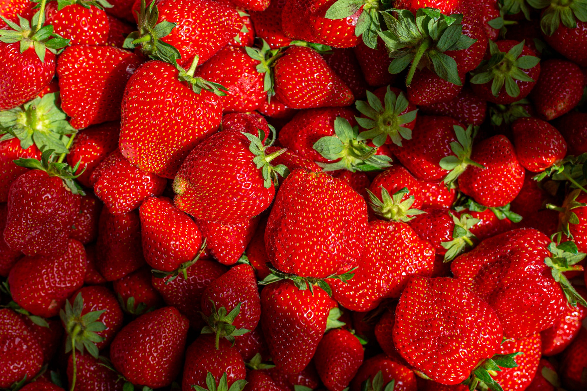 Descarga gratis la imagen Frutas, Fresa, Baya, Alimento en el escritorio de tu PC