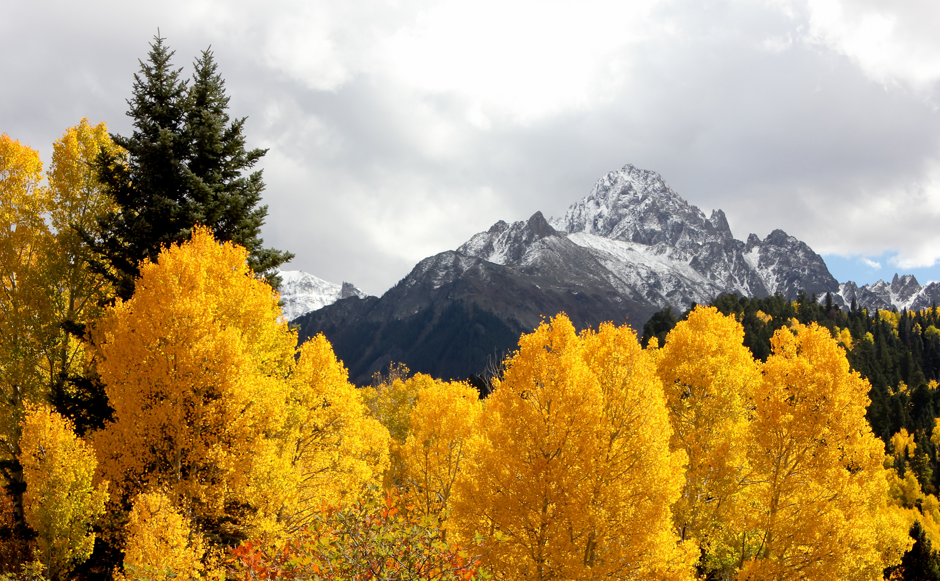 Download mobile wallpaper Snow, Vertex, Trees, Tops, Mountains, Nature, Autumn for free.