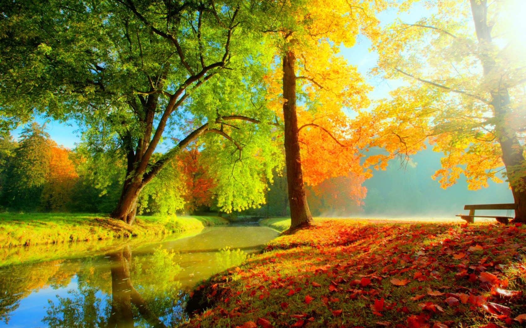 Free download wallpaper Park, Tree, Fall, Earth, River on your PC desktop