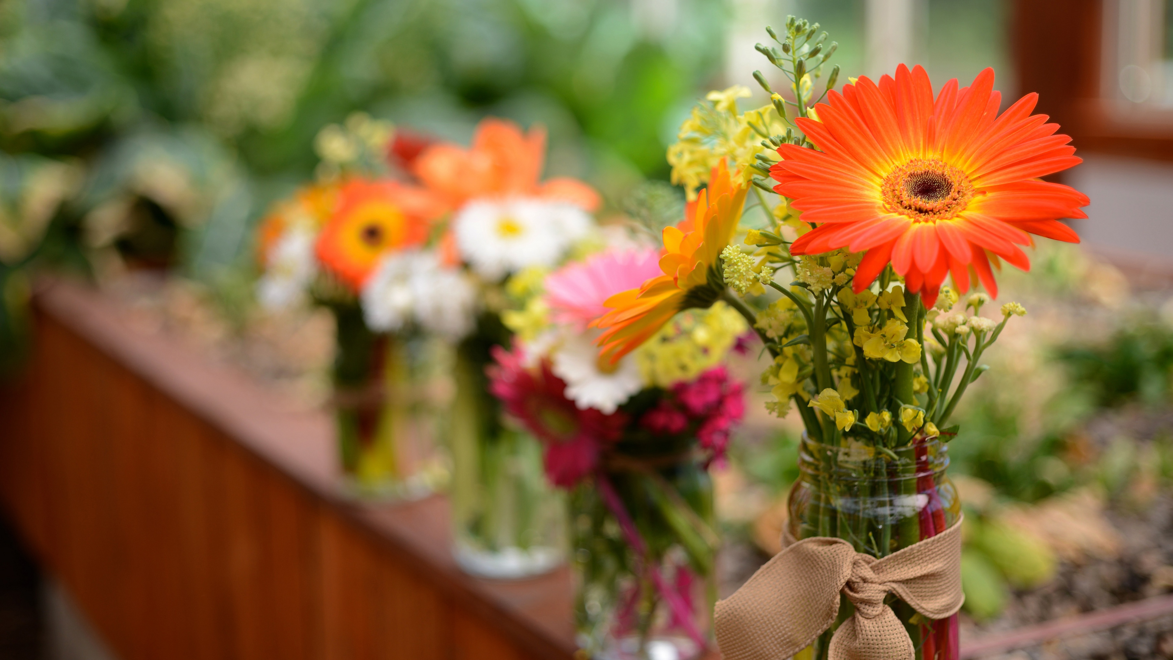 Laden Sie das Gerbera, Blume, Strauß, Bokeh, Menschengemacht-Bild kostenlos auf Ihren PC-Desktop herunter
