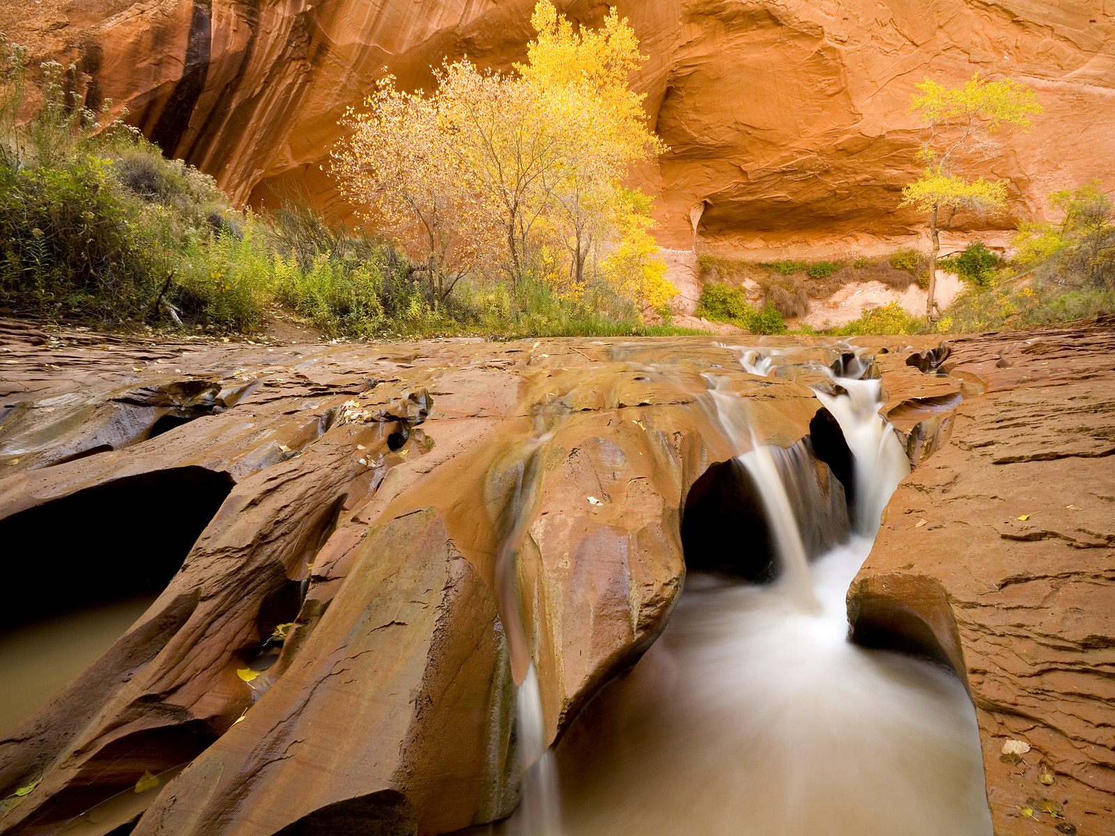 Free download wallpaper Canyon, Waterfall, Tree, Earth, Canyons on your PC desktop