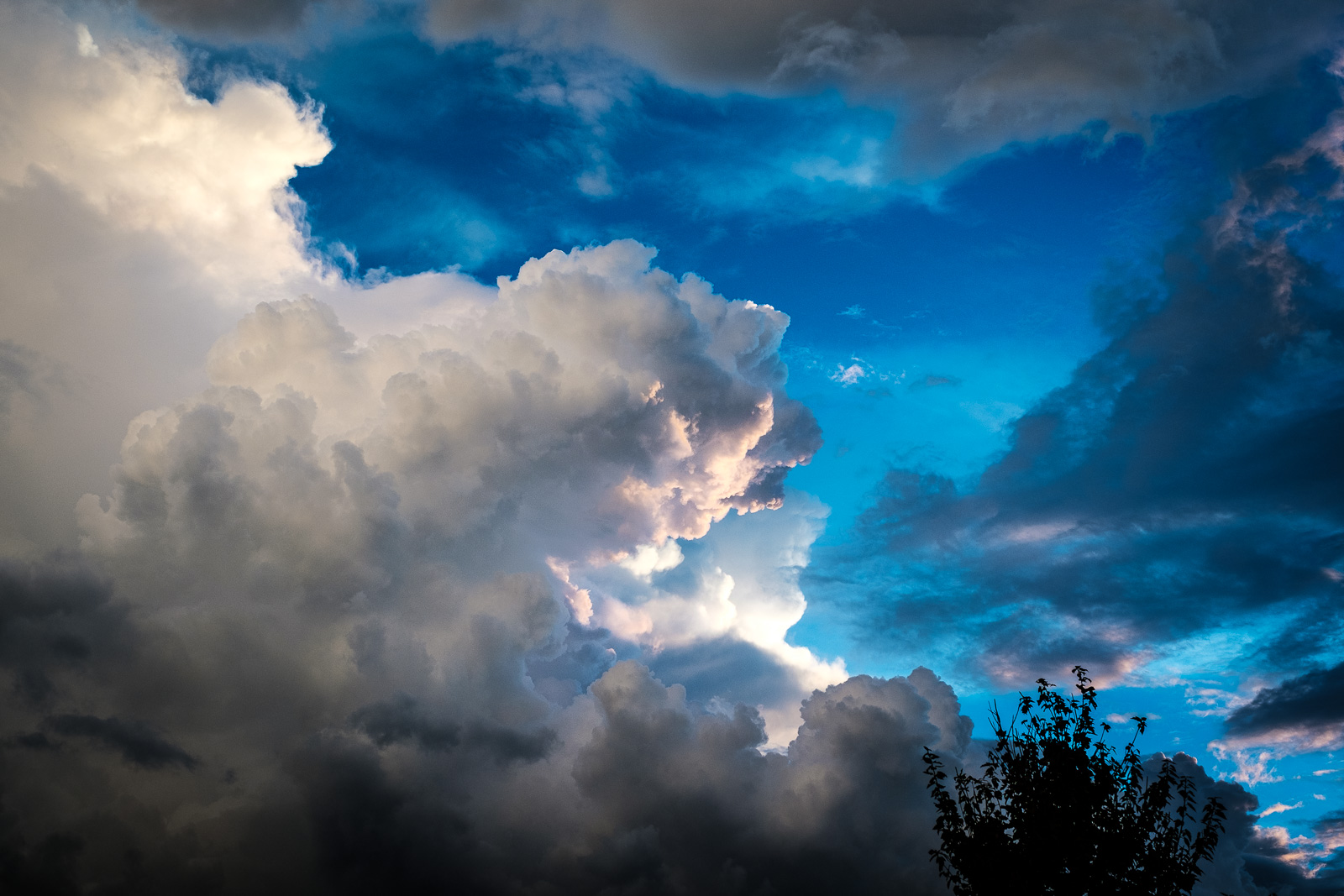 Descarga gratis la imagen Cielo, Árbol, Nube, Tierra/naturaleza en el escritorio de tu PC