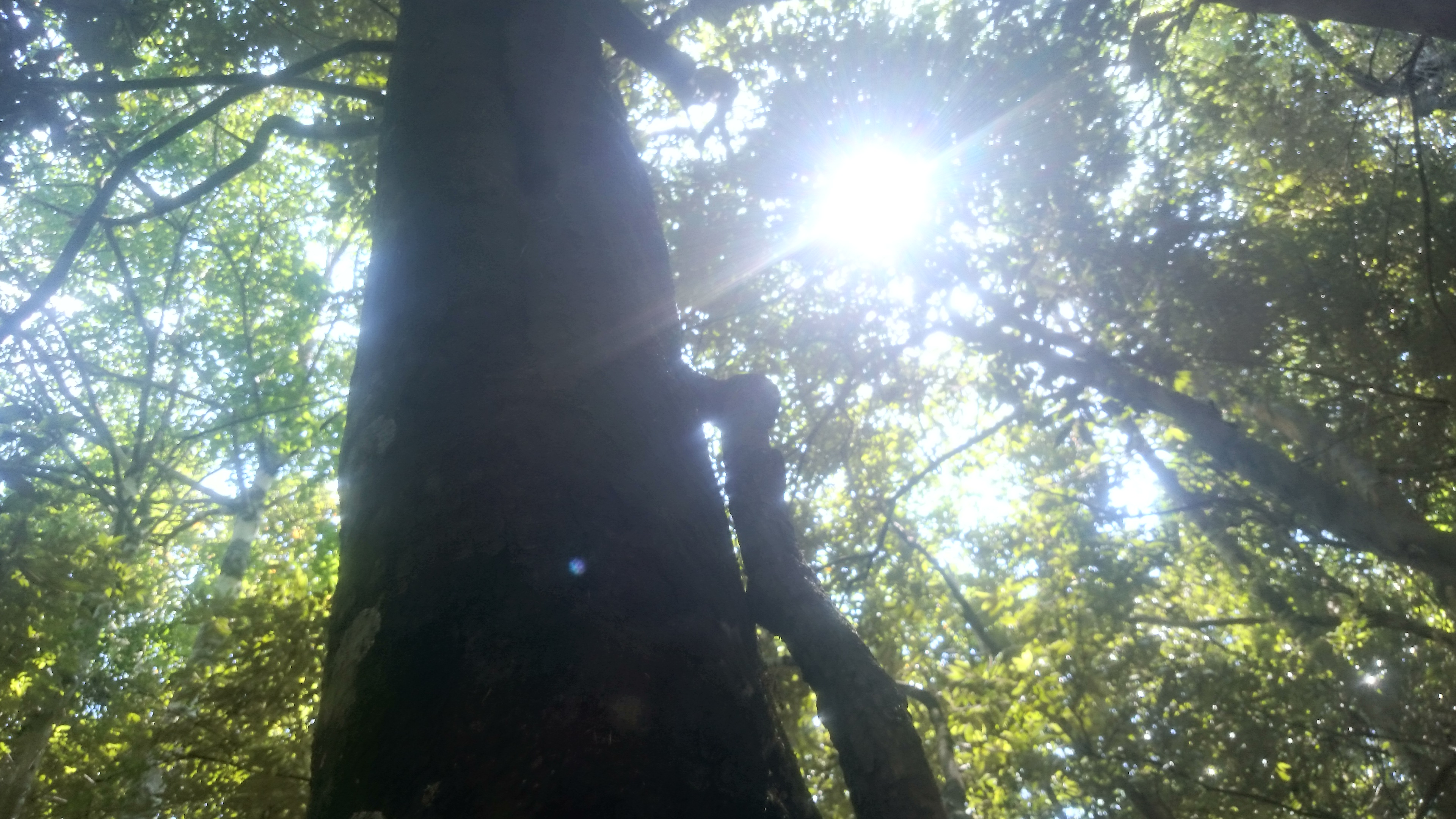 Baixar papel de parede para celular de Terra/natureza, Raio Solar gratuito.