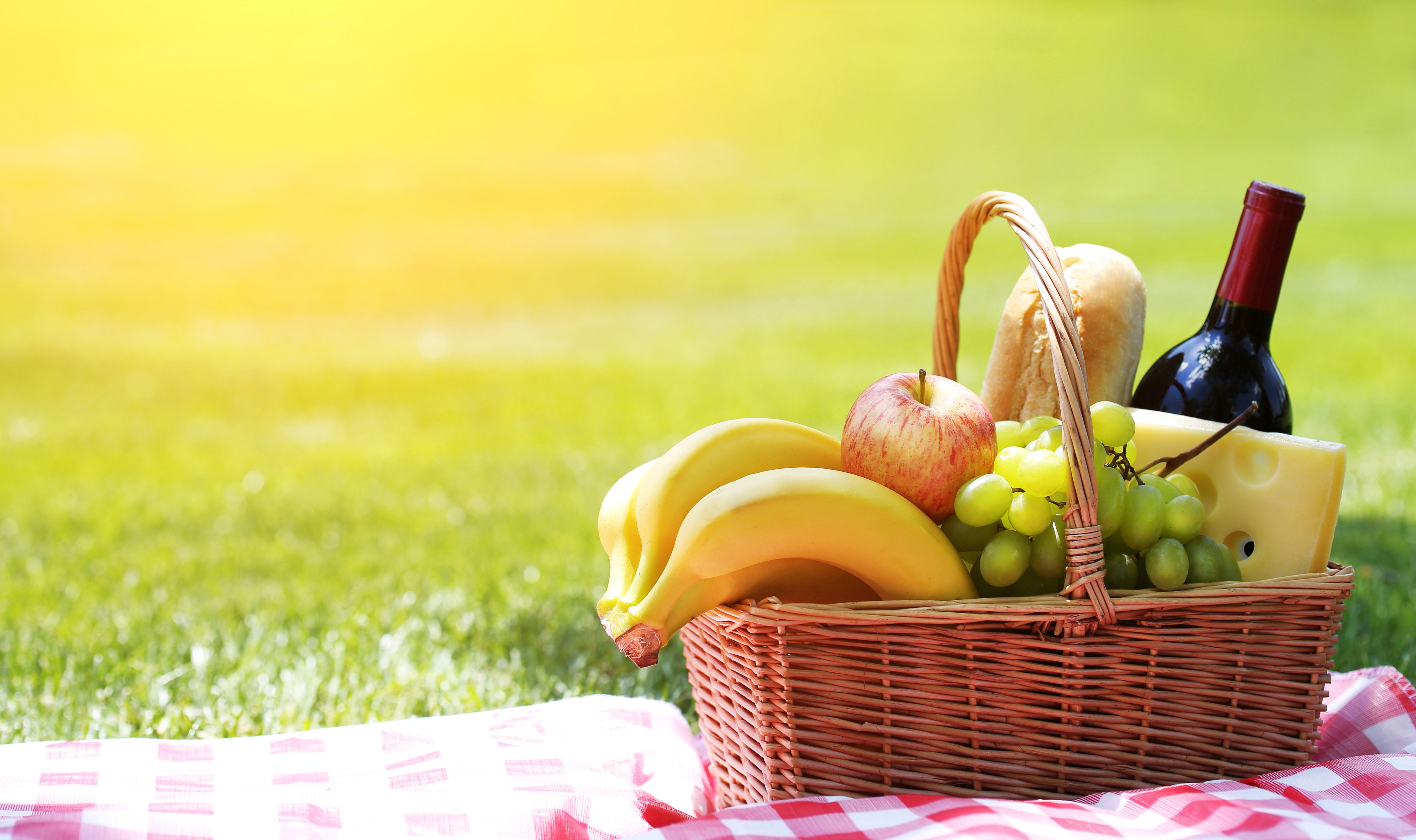 photography, picnic, basket, fruit, wine