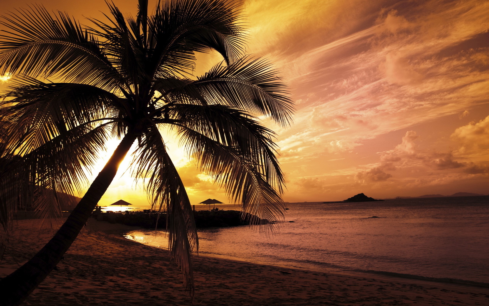 Скачать картинку Закат, Пальмы, Пляж, Пейзаж в телефон бесплатно.