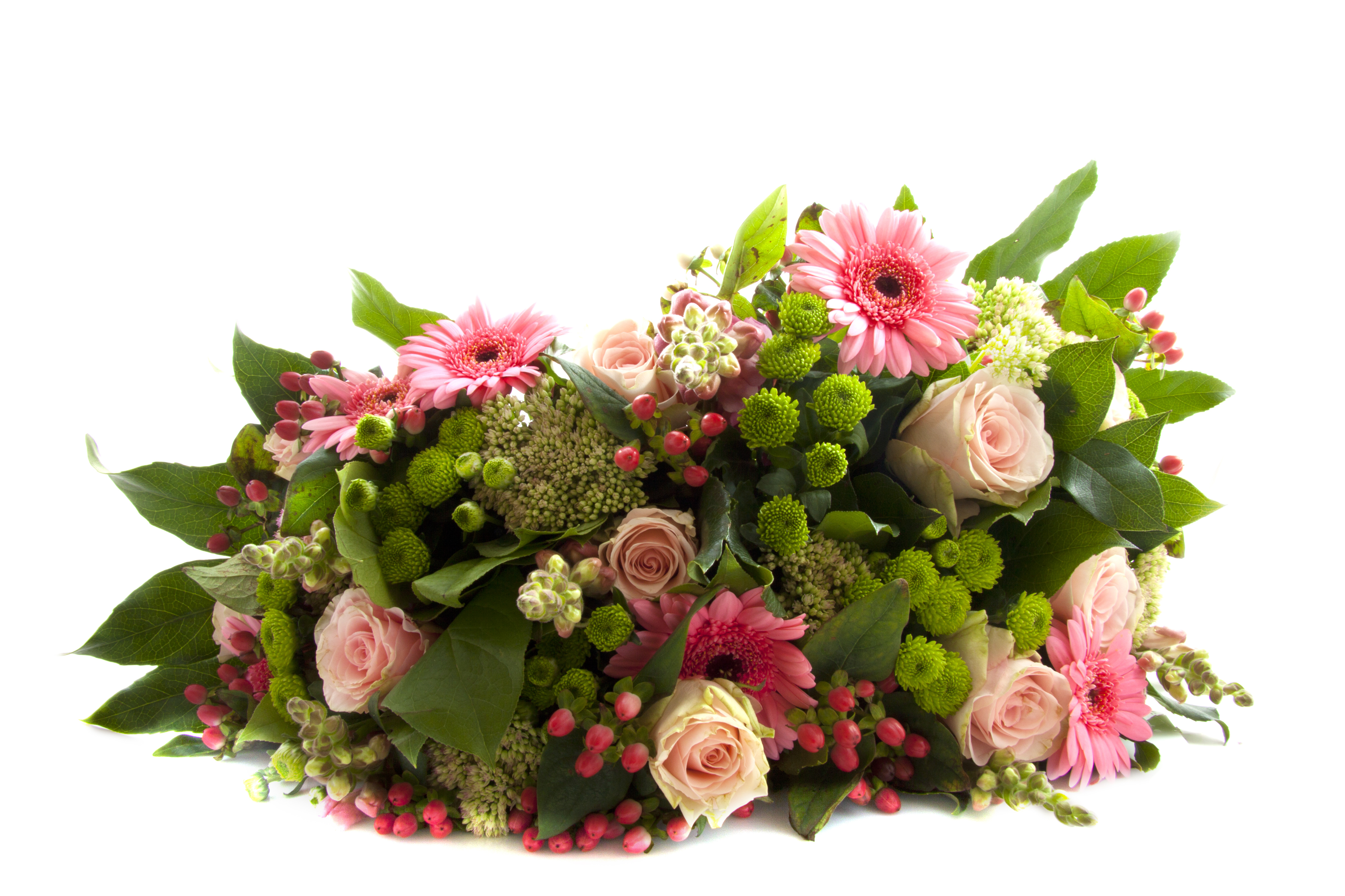 Завантажити шпалери безкоштовно Квітка, Земля, Рожевий, Весна, Рожева Квітка, Флауерзи картинка на робочий стіл ПК