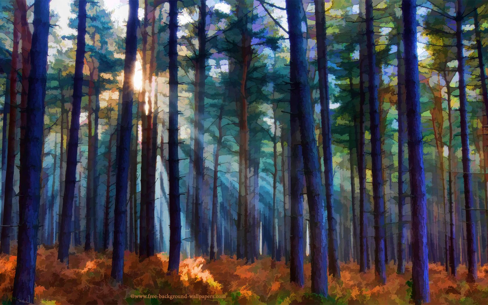 Free download wallpaper Forest, Tree, Sunlight, Artistic, Sunbeam on your PC desktop