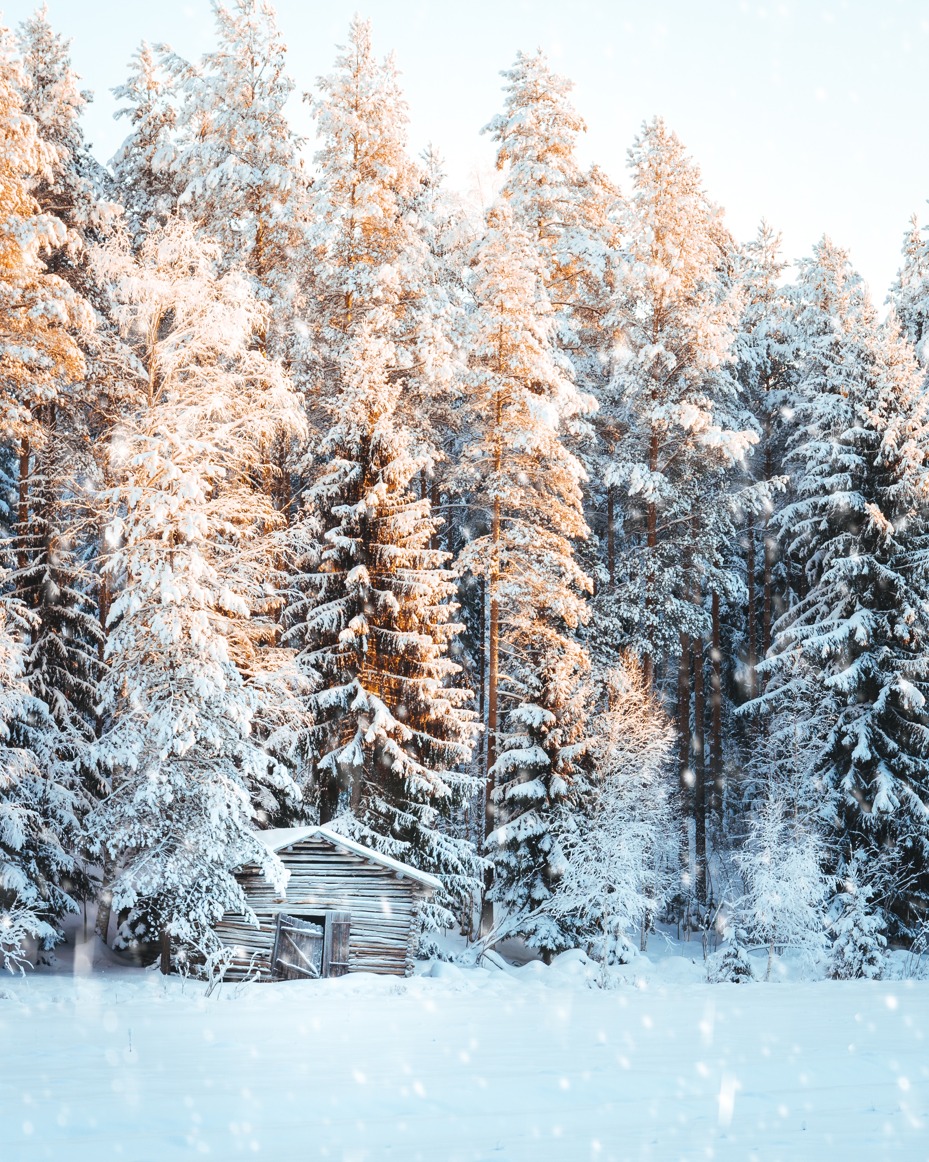 Скачать обои бесплатно Деревья, Снегопад, Природа, Снег, Свет, Зима, Домик картинка на рабочий стол ПК