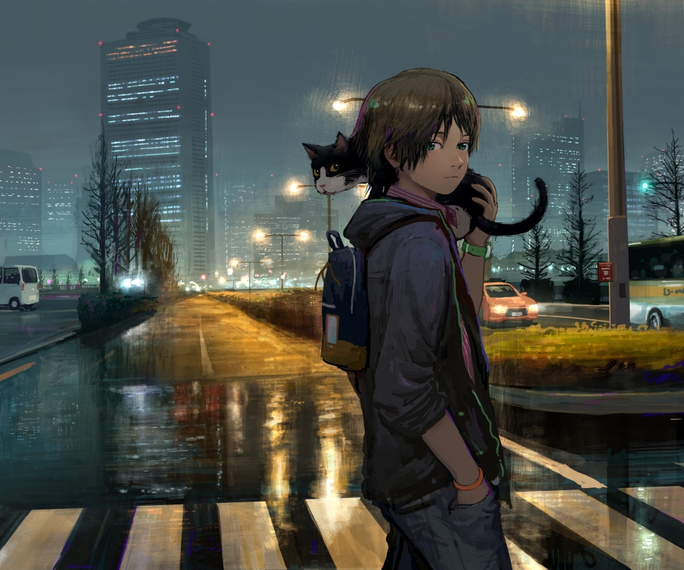 Download mobile wallpaper Anime, Night, Building, Road, Cat, Boy for free.