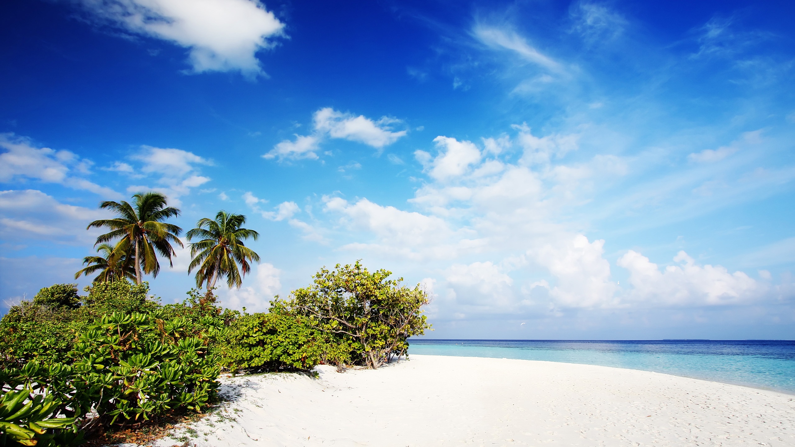 Baixe gratuitamente a imagem Mar, Praia, Trópicos, Ilha, Terra/natureza na área de trabalho do seu PC