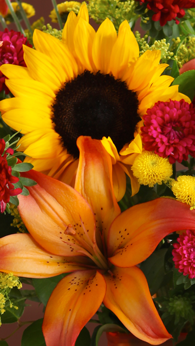 Download mobile wallpaper Flowers, Flower, Earth, Colors, Colorful, Lily, Sunflower, Yellow Flower for free.