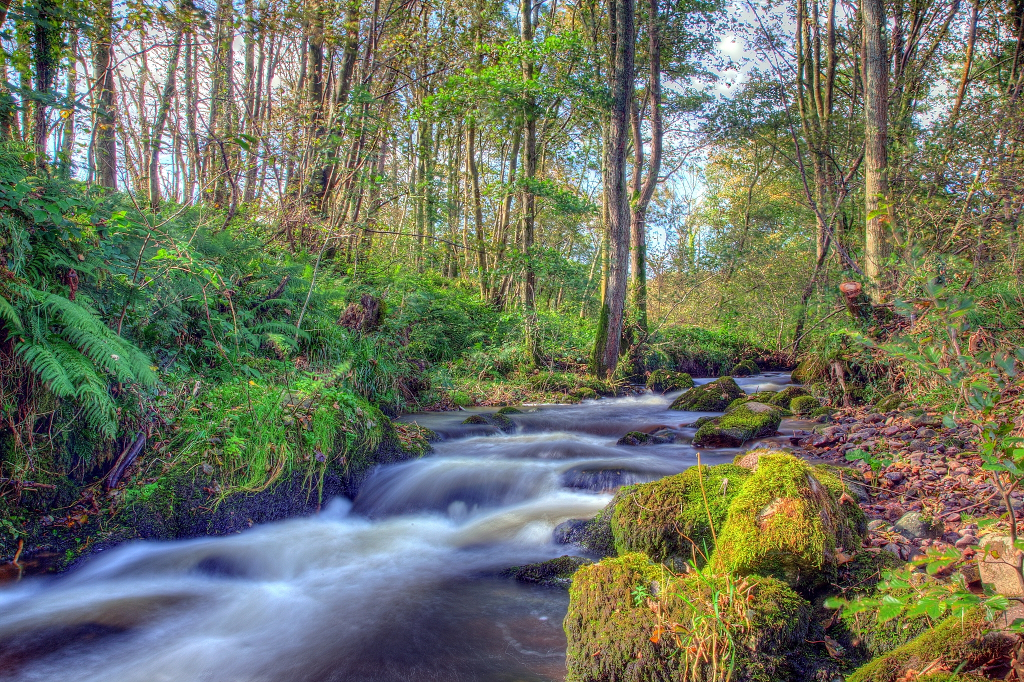 Laden Sie das Natur, Stones, Flüsse, Wald, Landschaft-Bild kostenlos auf Ihren PC-Desktop herunter