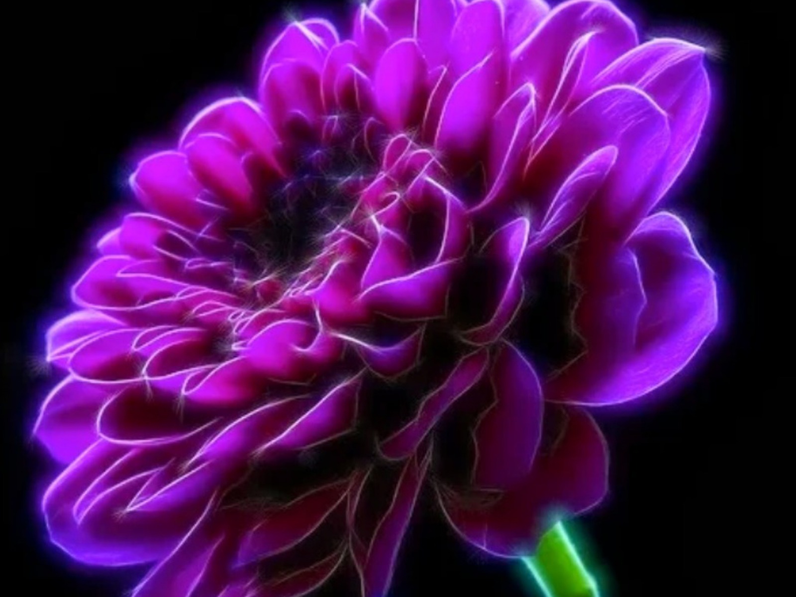 Free download wallpaper Flower, Artistic on your PC desktop