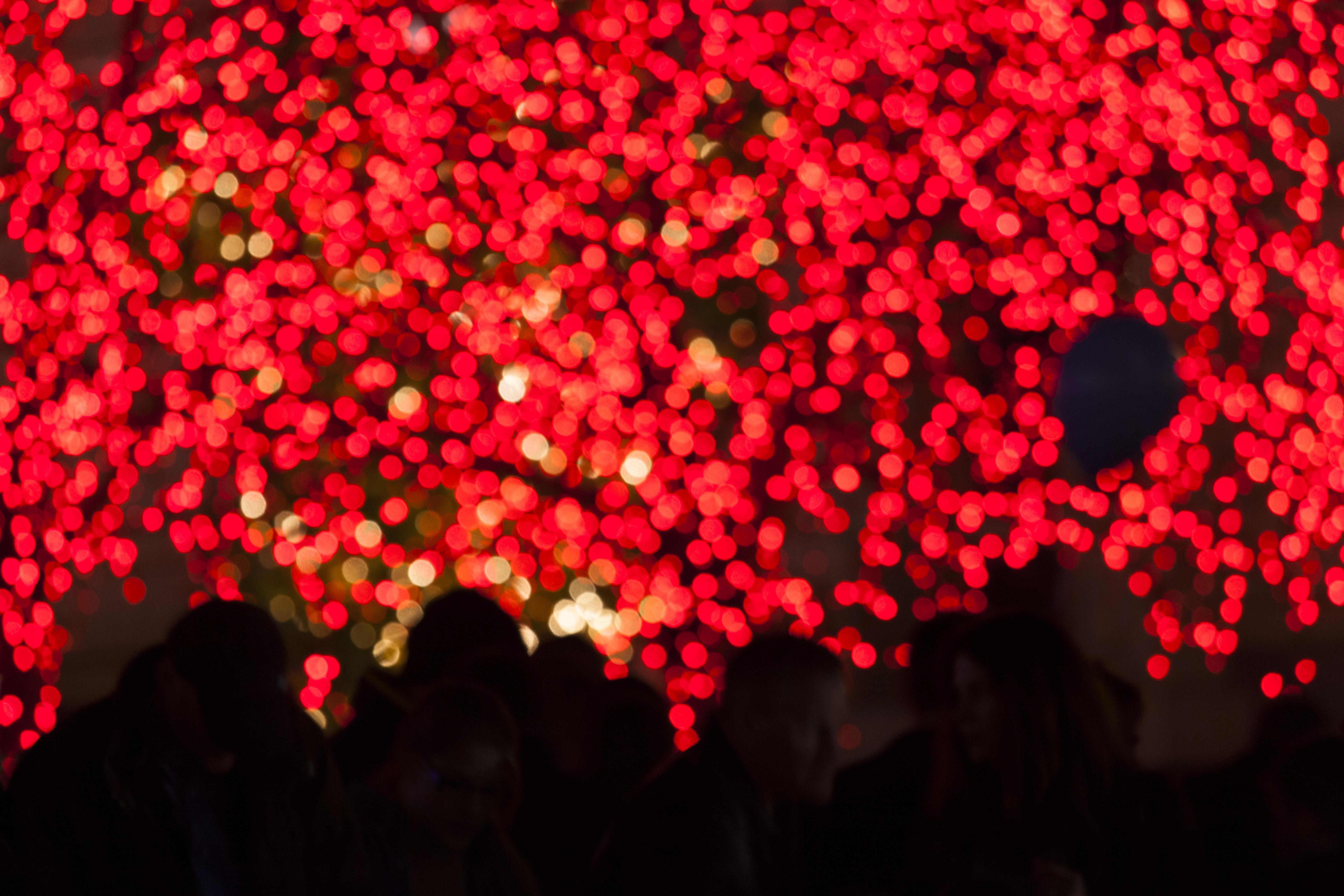 Laden Sie das Feiertage, Weihnachten-Bild kostenlos auf Ihren PC-Desktop herunter