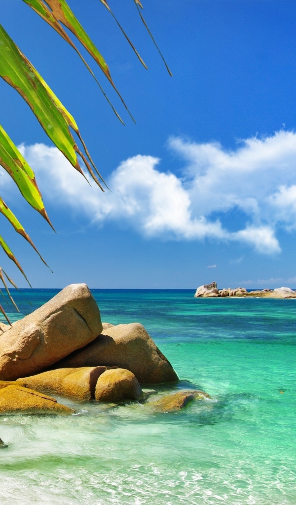 Téléchargez des papiers peints mobile Tropical, Les Seychelles, Terre/nature gratuitement.