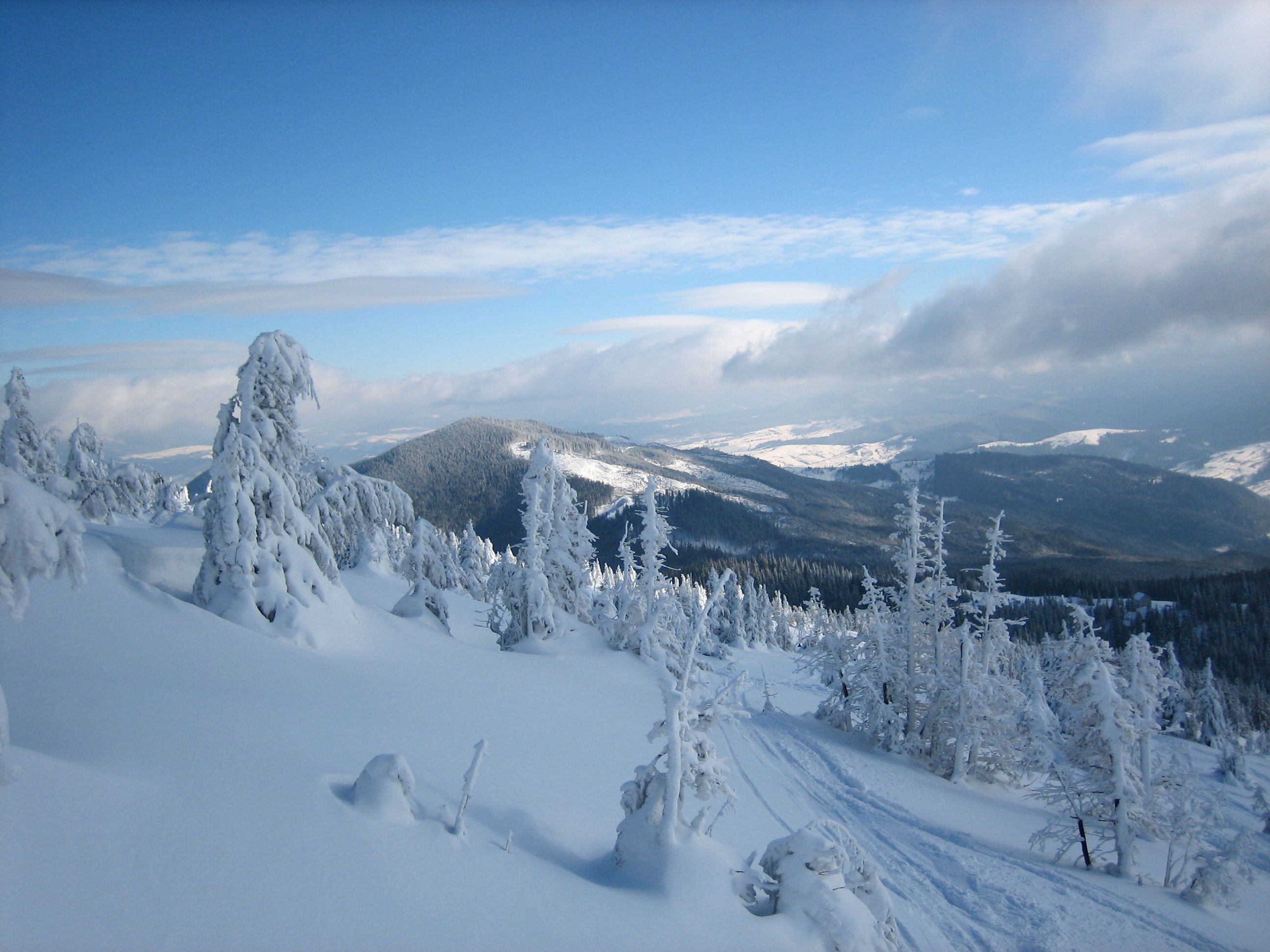 Laden Sie das Winter, Erde/natur-Bild kostenlos auf Ihren PC-Desktop herunter