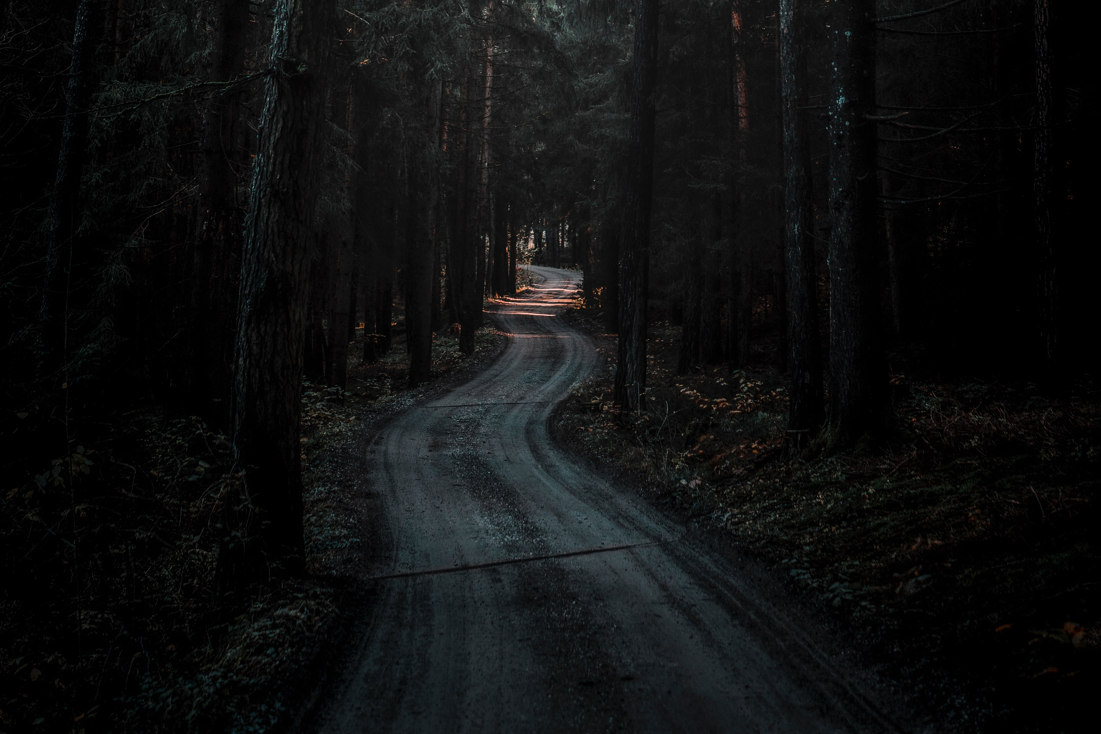 Download mobile wallpaper Winding, Forest, Sinuous, Road, Nature, Dark for free.