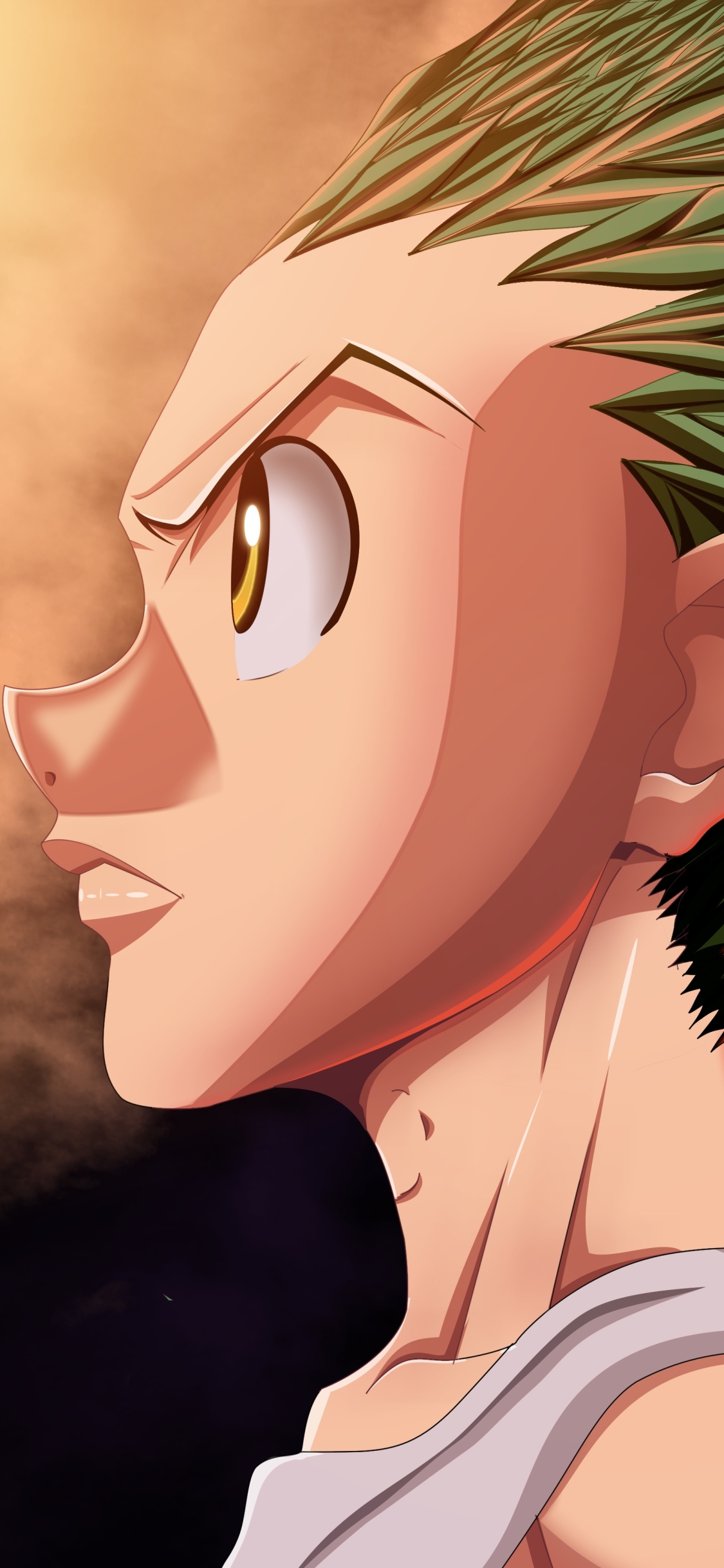 Descarga gratuita de fondo de pantalla para móvil de Animado, Gon Freecs, Hunter X Hunter.