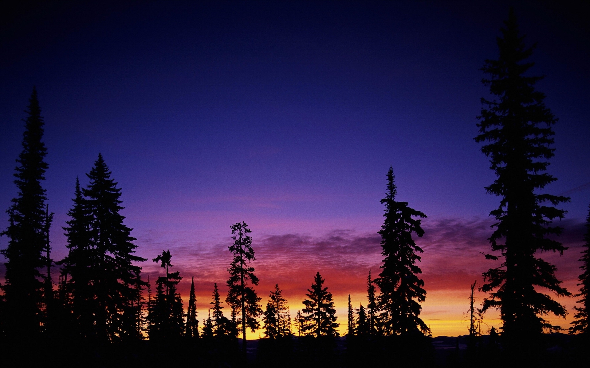 Download mobile wallpaper Landscape, Trees, Sky, Sunset for free.