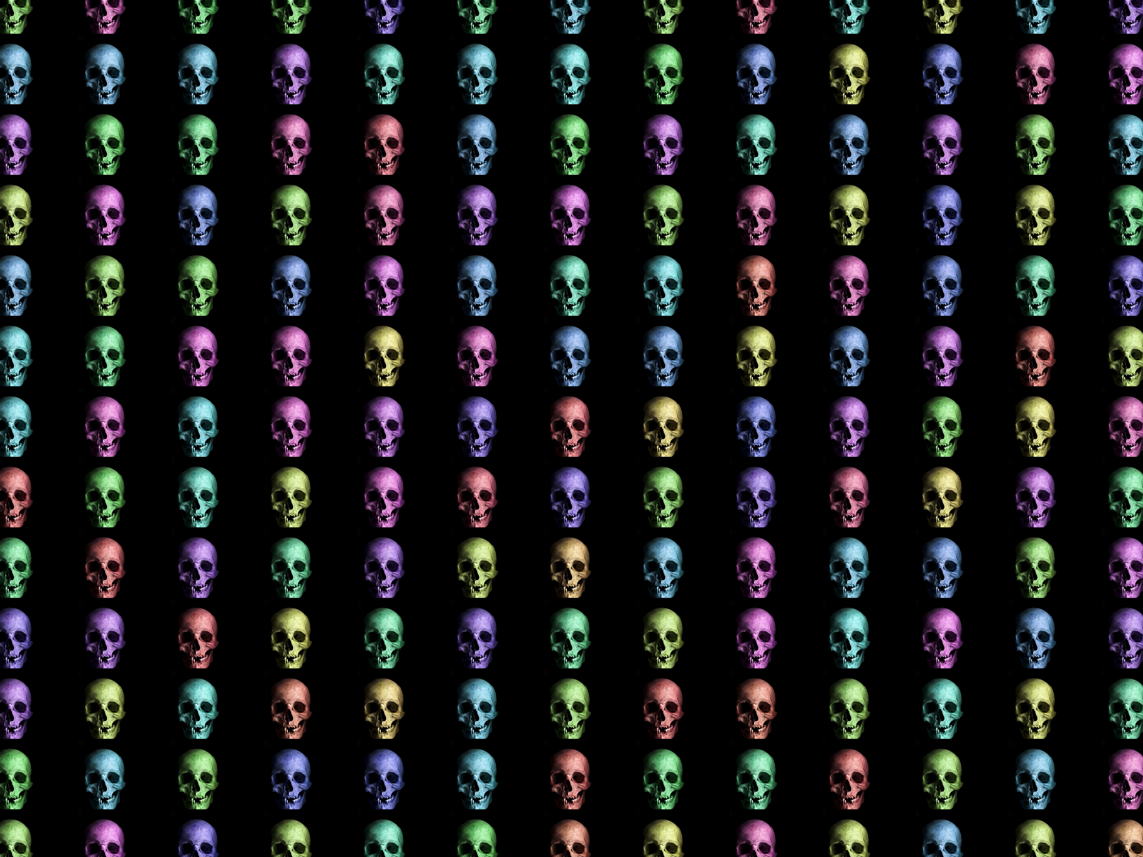 Download mobile wallpaper Motley, Multicolored, Texture, Textures, Skull, Skulls for free.
