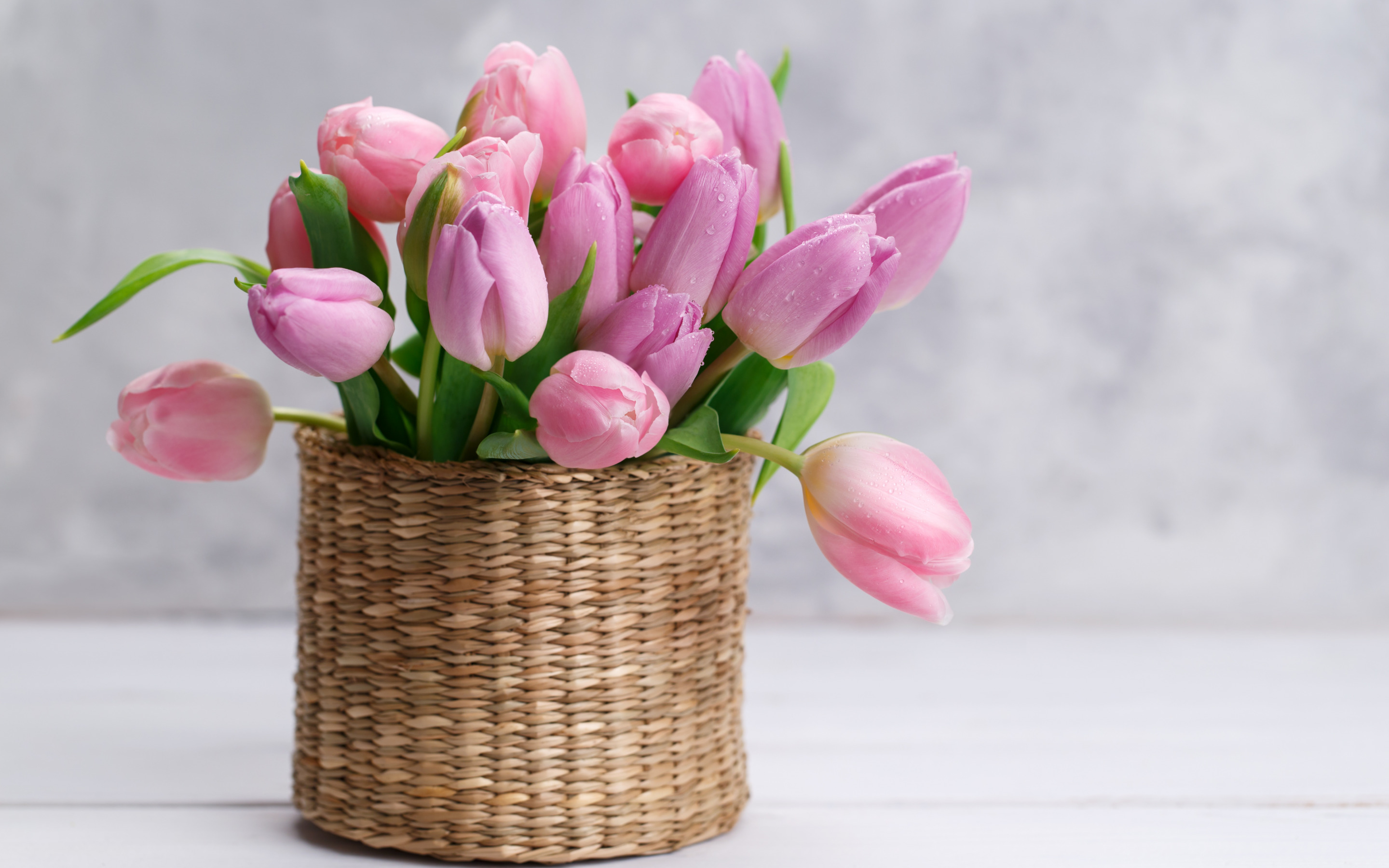 Baixe gratuitamente a imagem Flor, Tulipa, Feito Pelo Homem na área de trabalho do seu PC