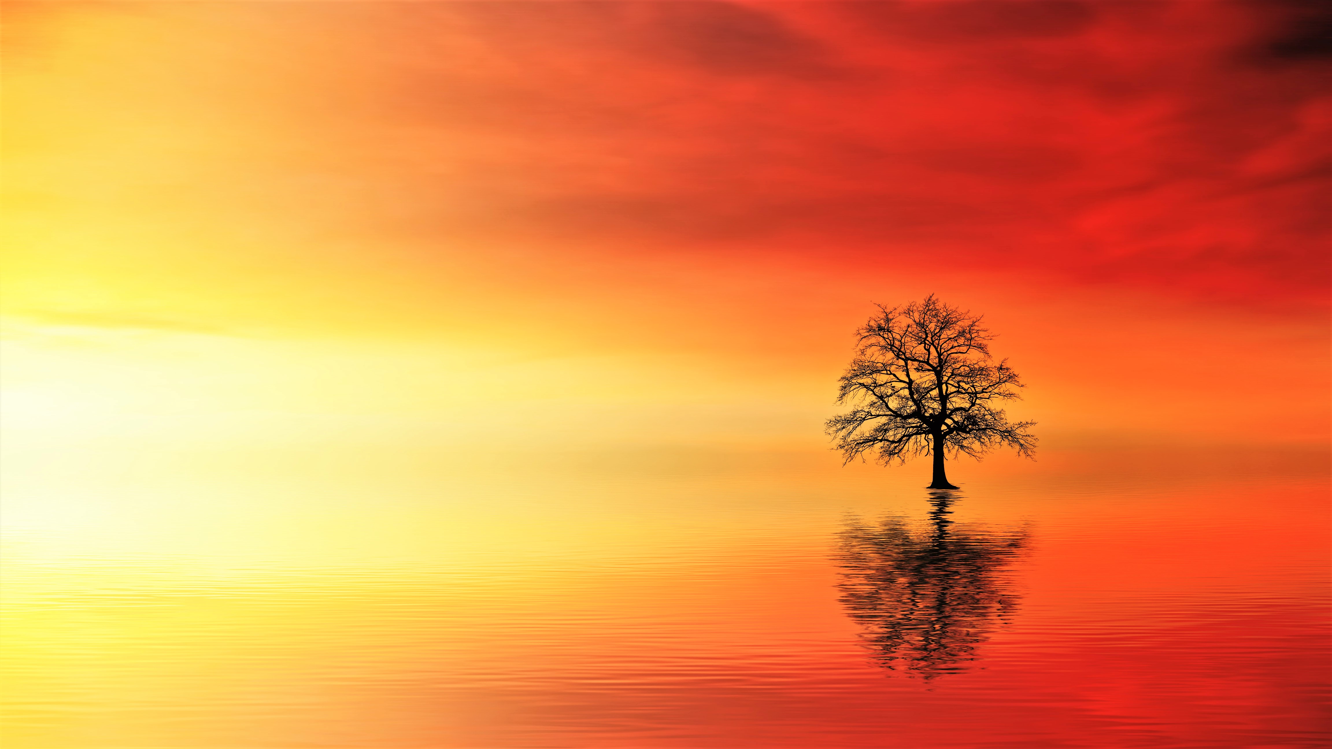Free download wallpaper Water, Reflection, Tree, Artistic, Orange (Color) on your PC desktop