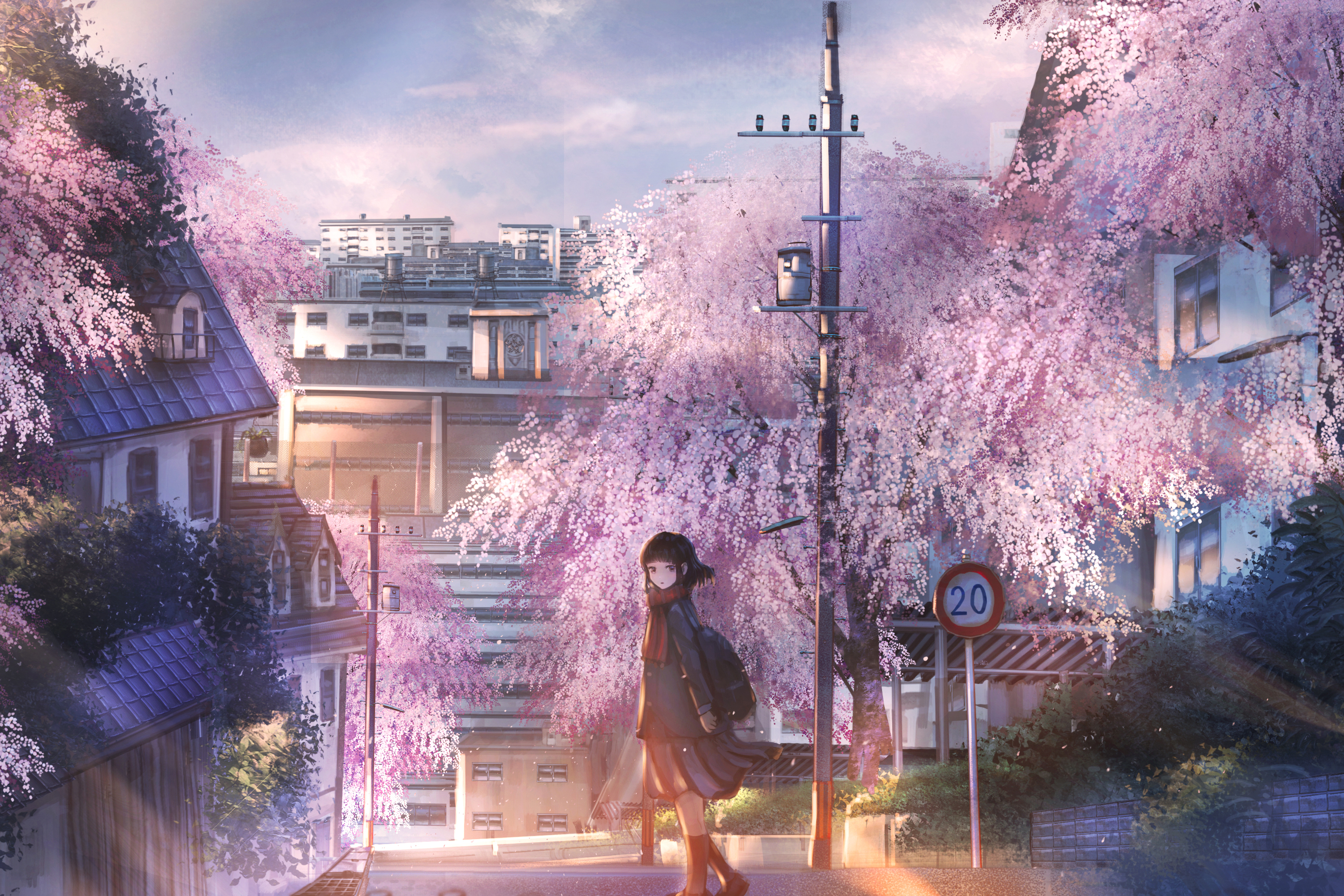 Laden Sie das Original, Kirschblüte, Animes, Kurzes Haar-Bild kostenlos auf Ihren PC-Desktop herunter