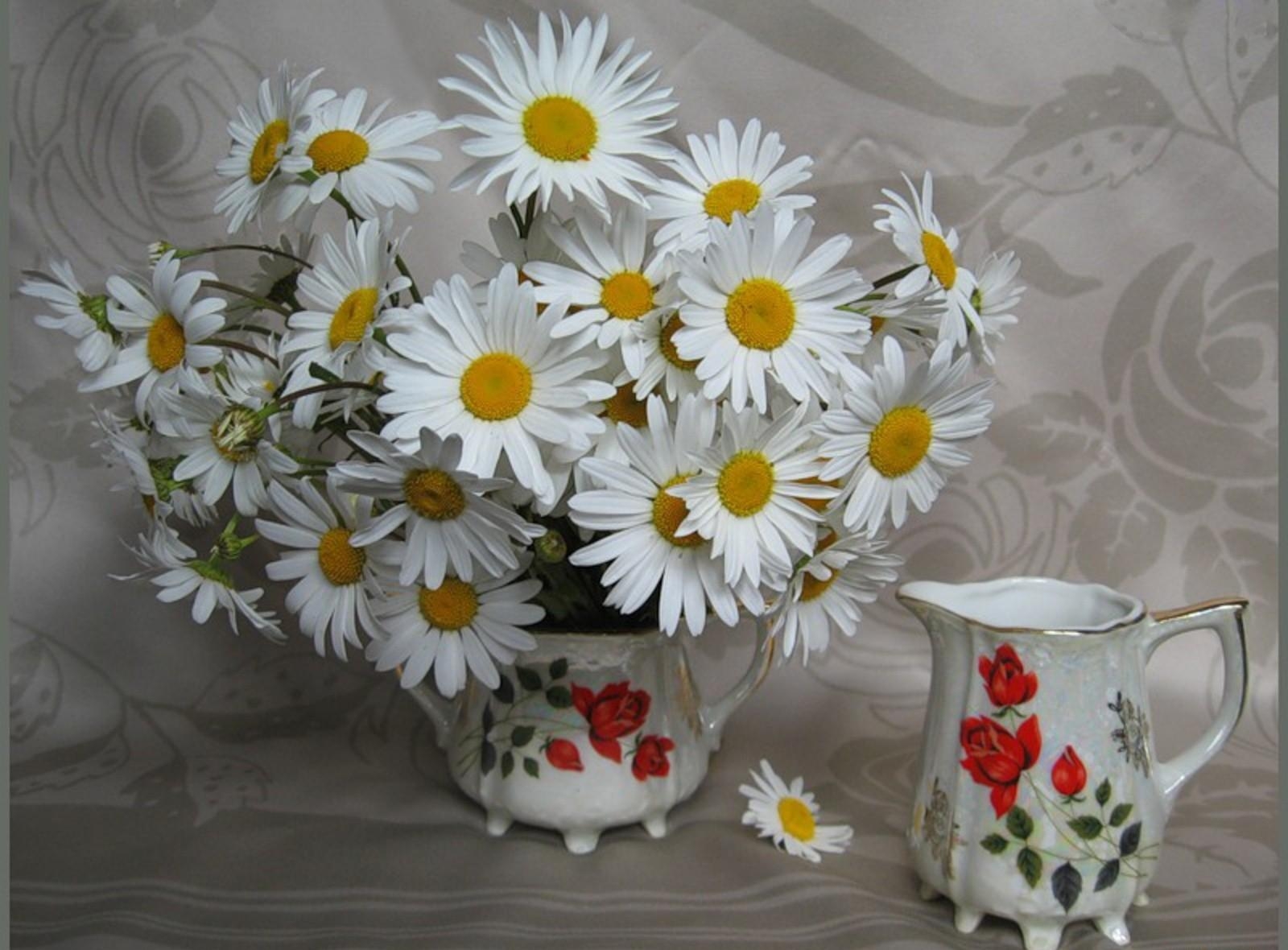 Téléchargez des papiers peints mobile Vase, Camomille, Blanc Comme Neige, Bouquet, Fleurs gratuitement.