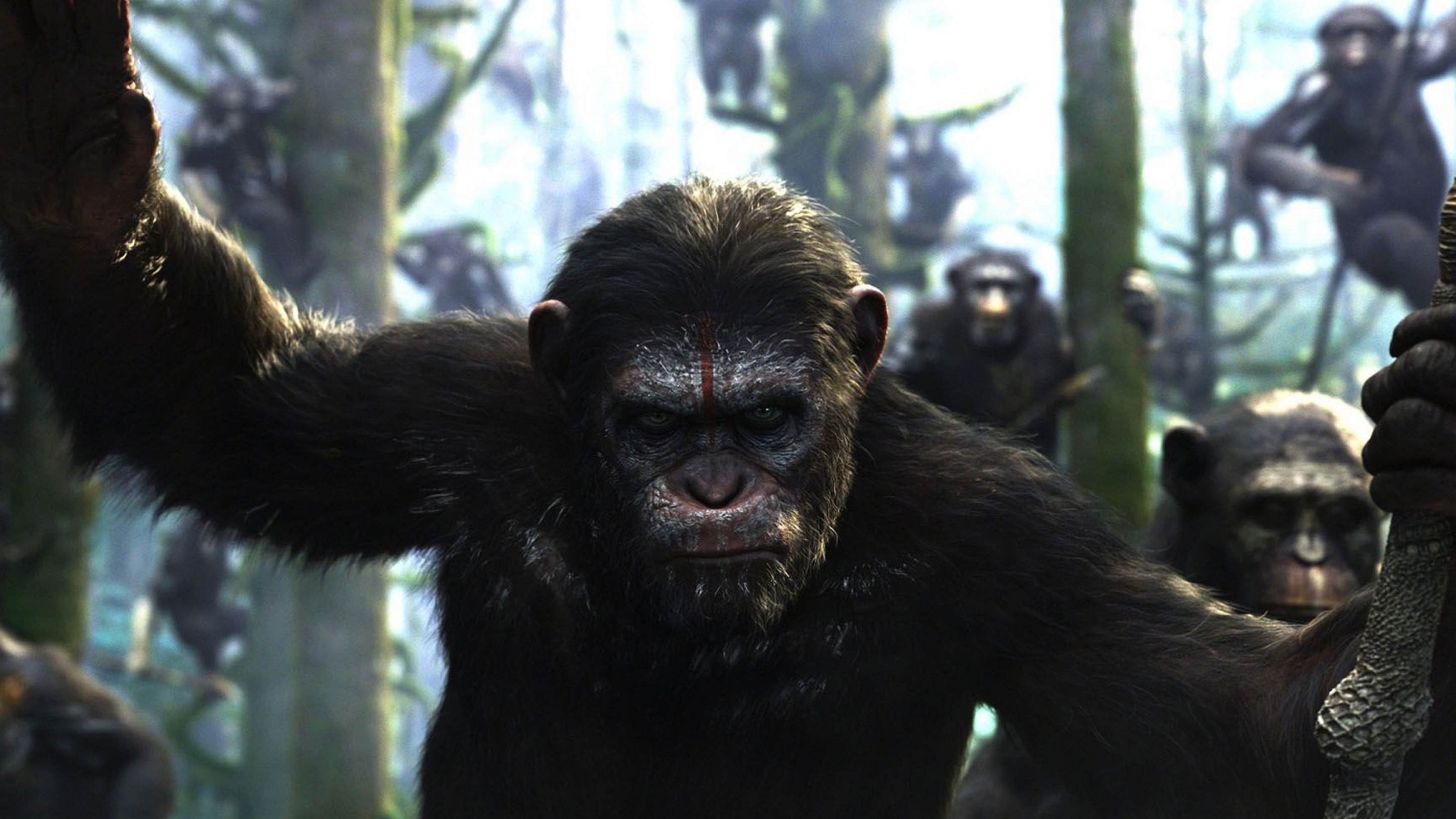 639067 descargar fondo de pantalla películas, el planeta de los simios: confrontación: protectores de pantalla e imágenes gratis