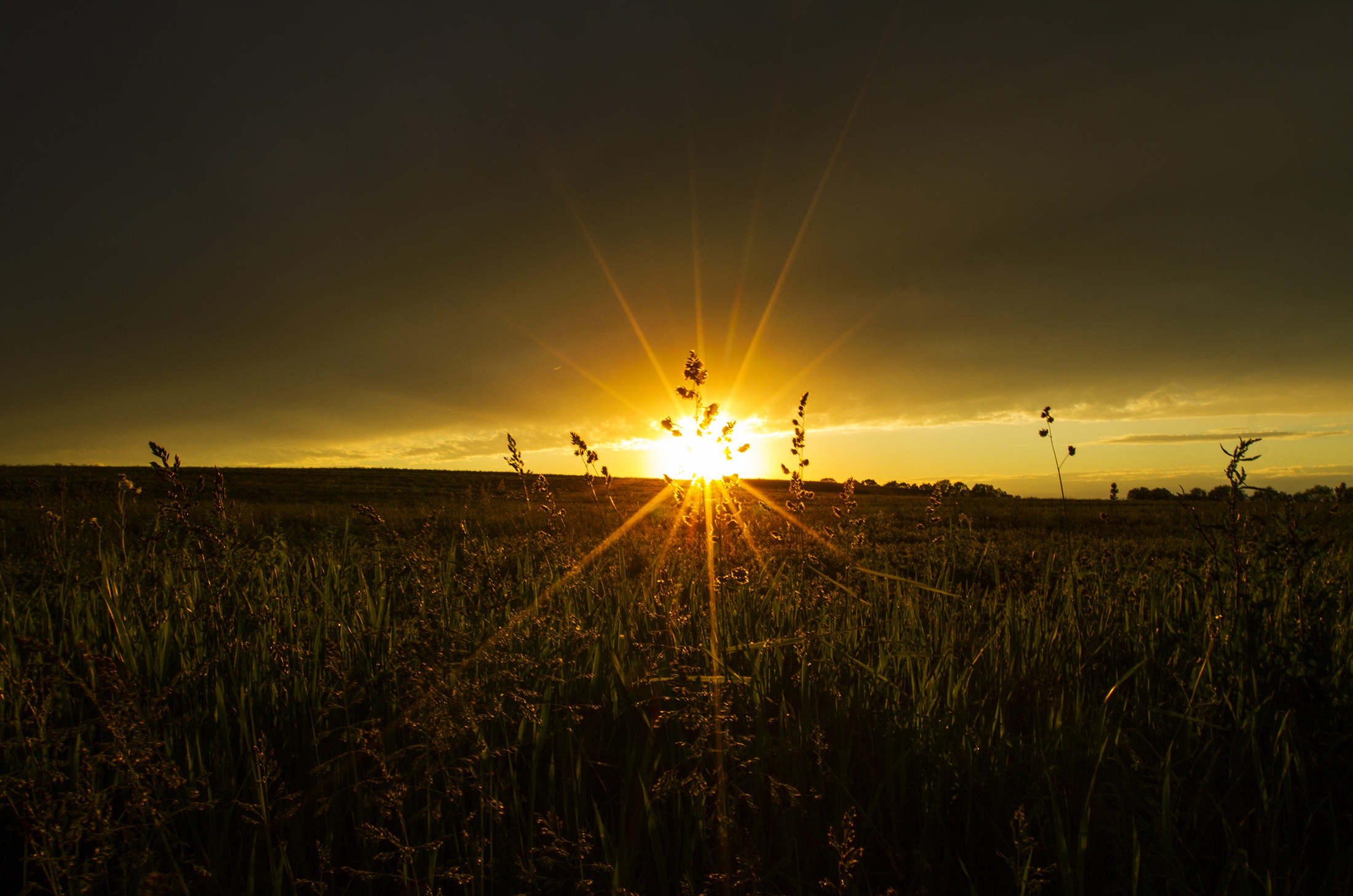 Download mobile wallpaper Nature, Sky, Sun, Sunrise, Earth, Field, Sunbeam for free.