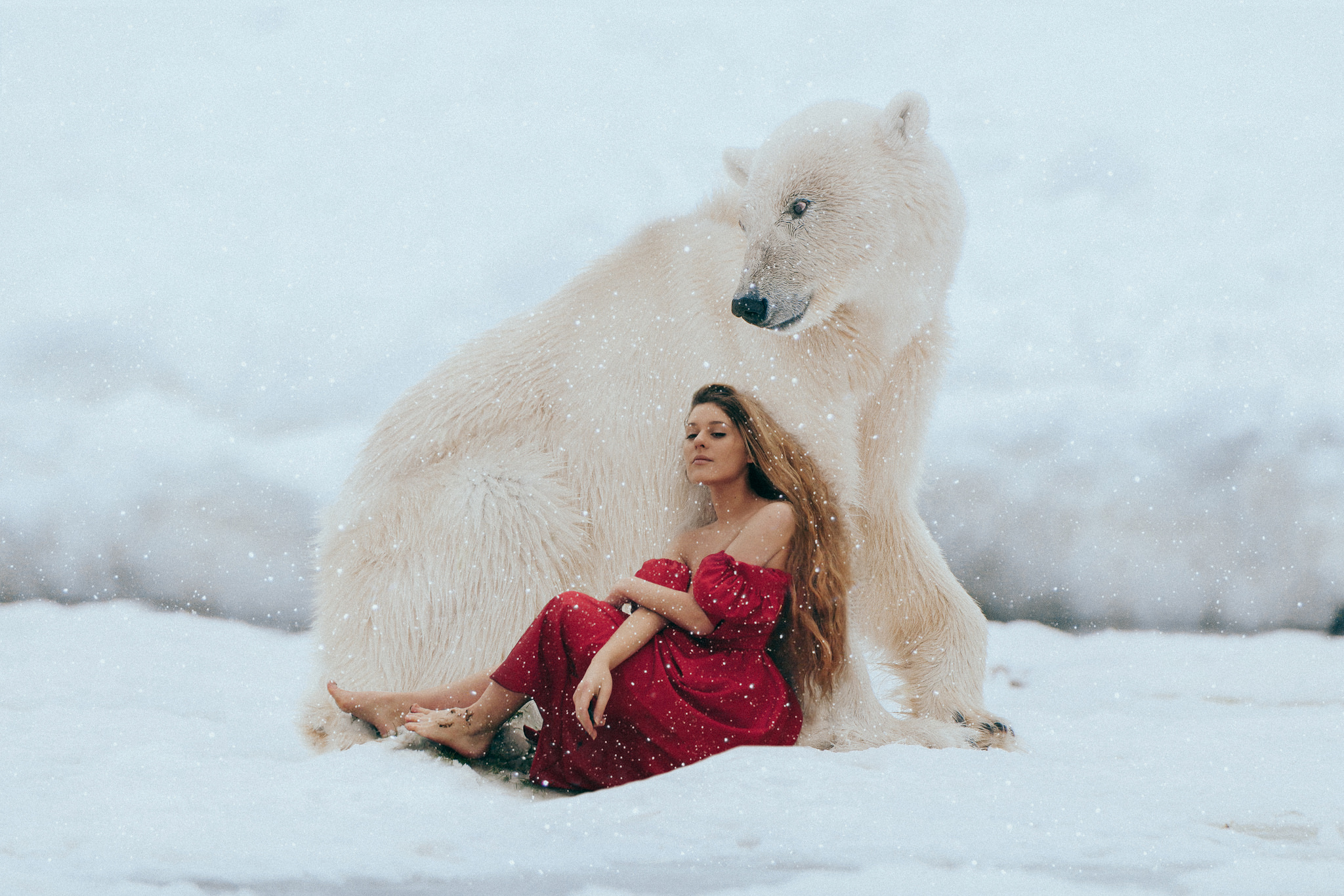 849403 скачать обои белый медведь, зима, женщины, настроение, блондинка, манипуляции, красное платье, снег - заставки и картинки бесплатно