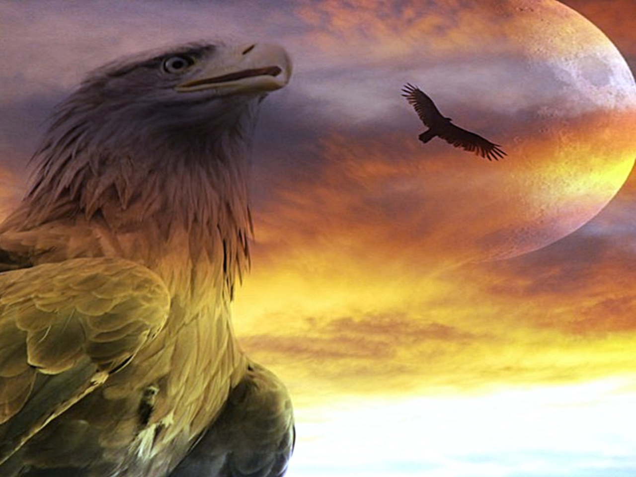 Download mobile wallpaper Animal, Eagle for free.