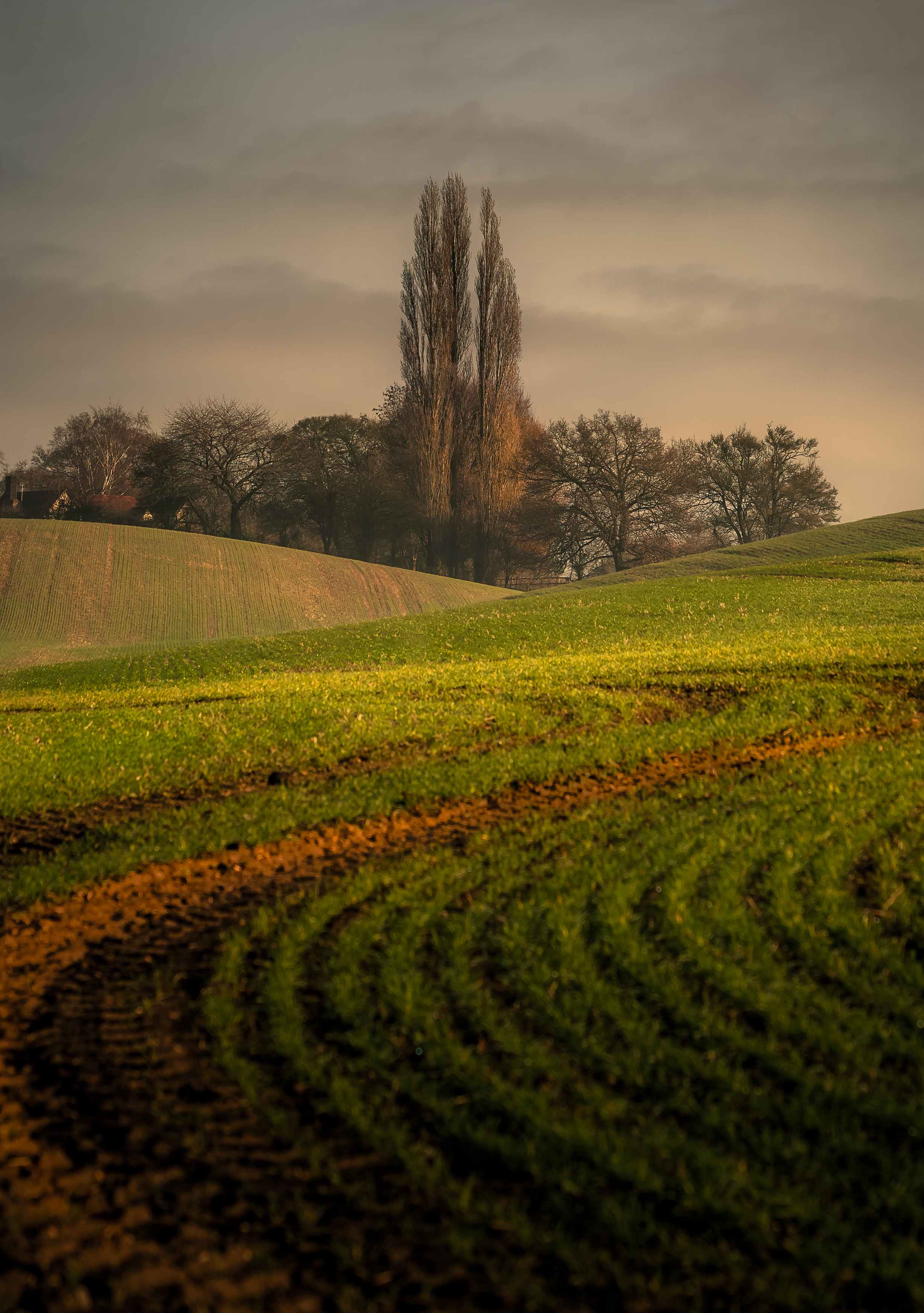 Download mobile wallpaper Arable Land, Trees, Nature, Hills for free.