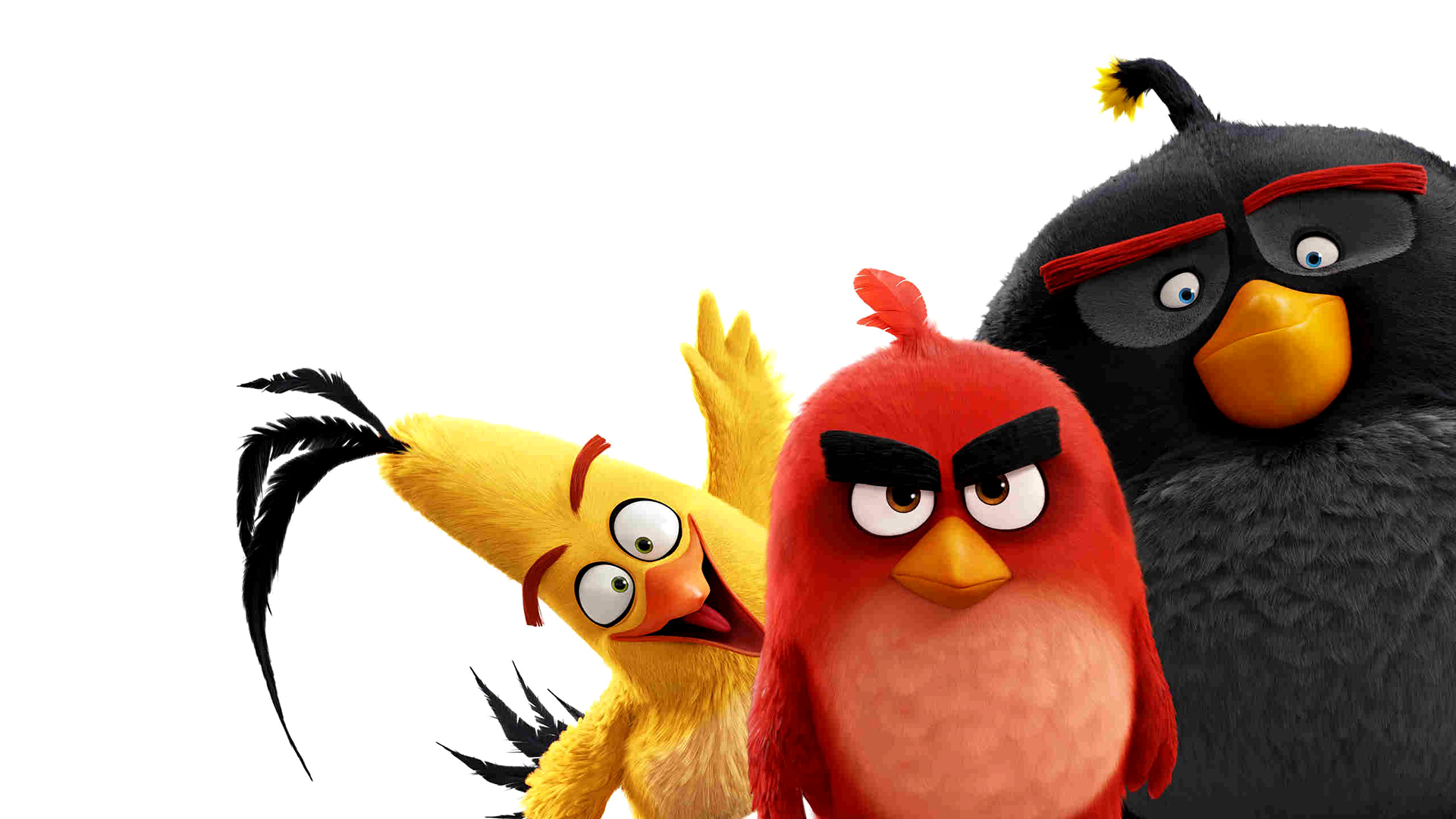 398980 Salvapantallas y fondos de pantalla Angry Birds: La Película en tu teléfono. Descarga imágenes de  gratis