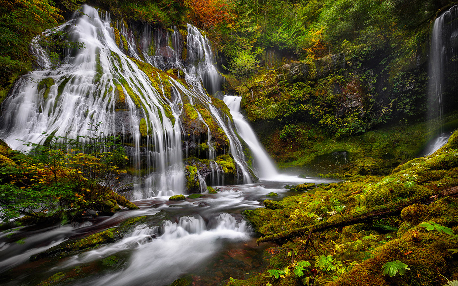 Laden Sie das Wasserfälle, Wasserfall, Fluss, Moos, Erde/natur, Mckenzie Falls-Bild kostenlos auf Ihren PC-Desktop herunter