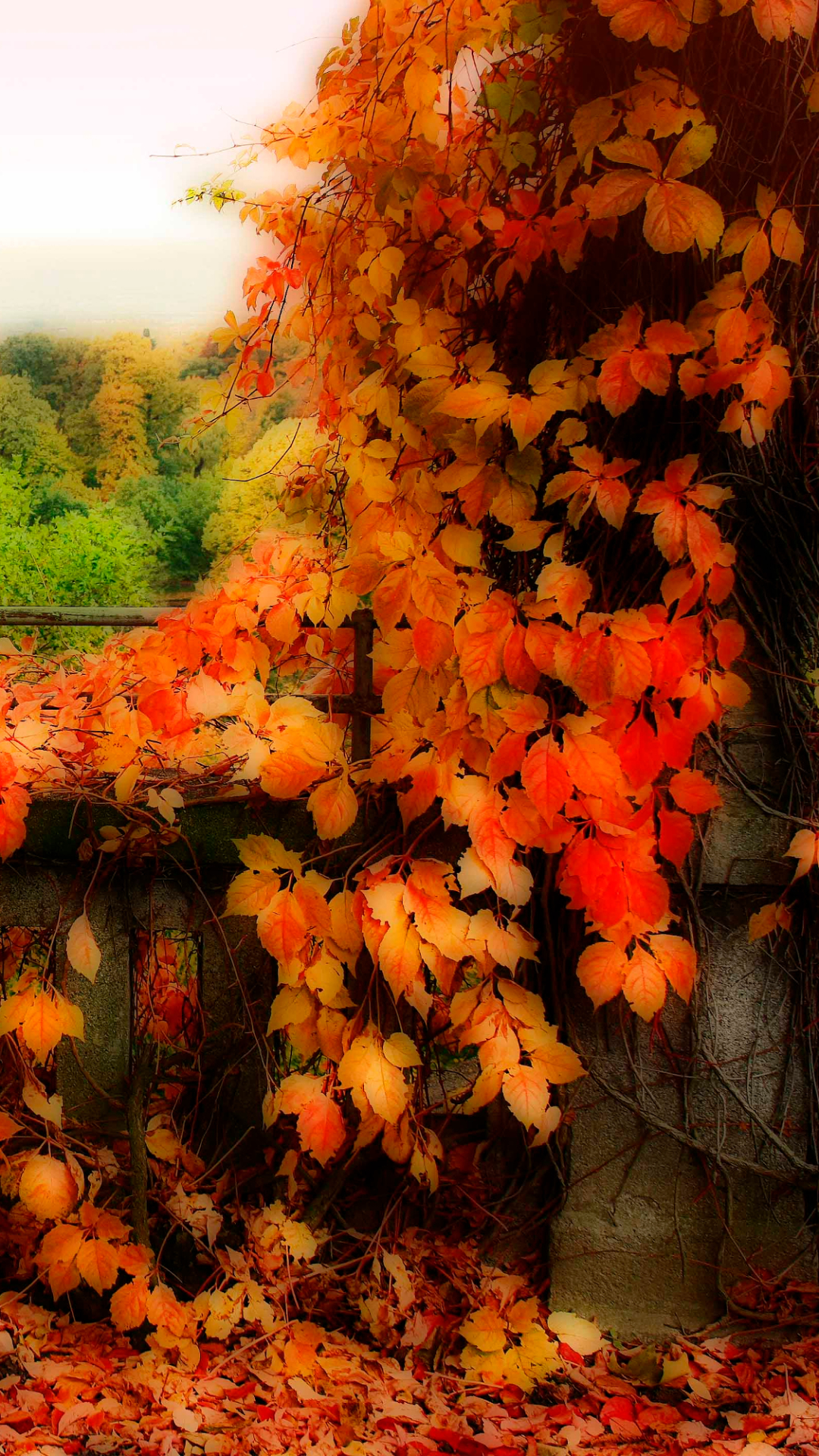 Download mobile wallpaper Leaf, Fall, Earth, Orange (Color) for free.