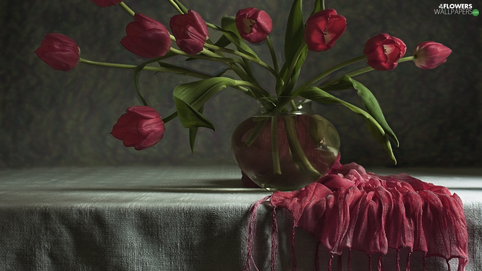 Free download wallpaper Still Life, Vase, Tulip, Photography on your PC desktop