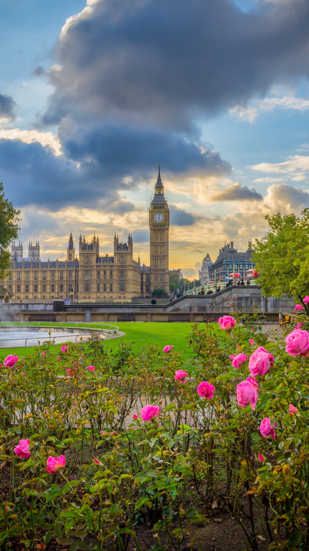 Handy-Wallpaper London, Big Ben, Brunnen, Rose, Park, England, Palast Von Westminster, Menschengemacht, Paläste kostenlos herunterladen.
