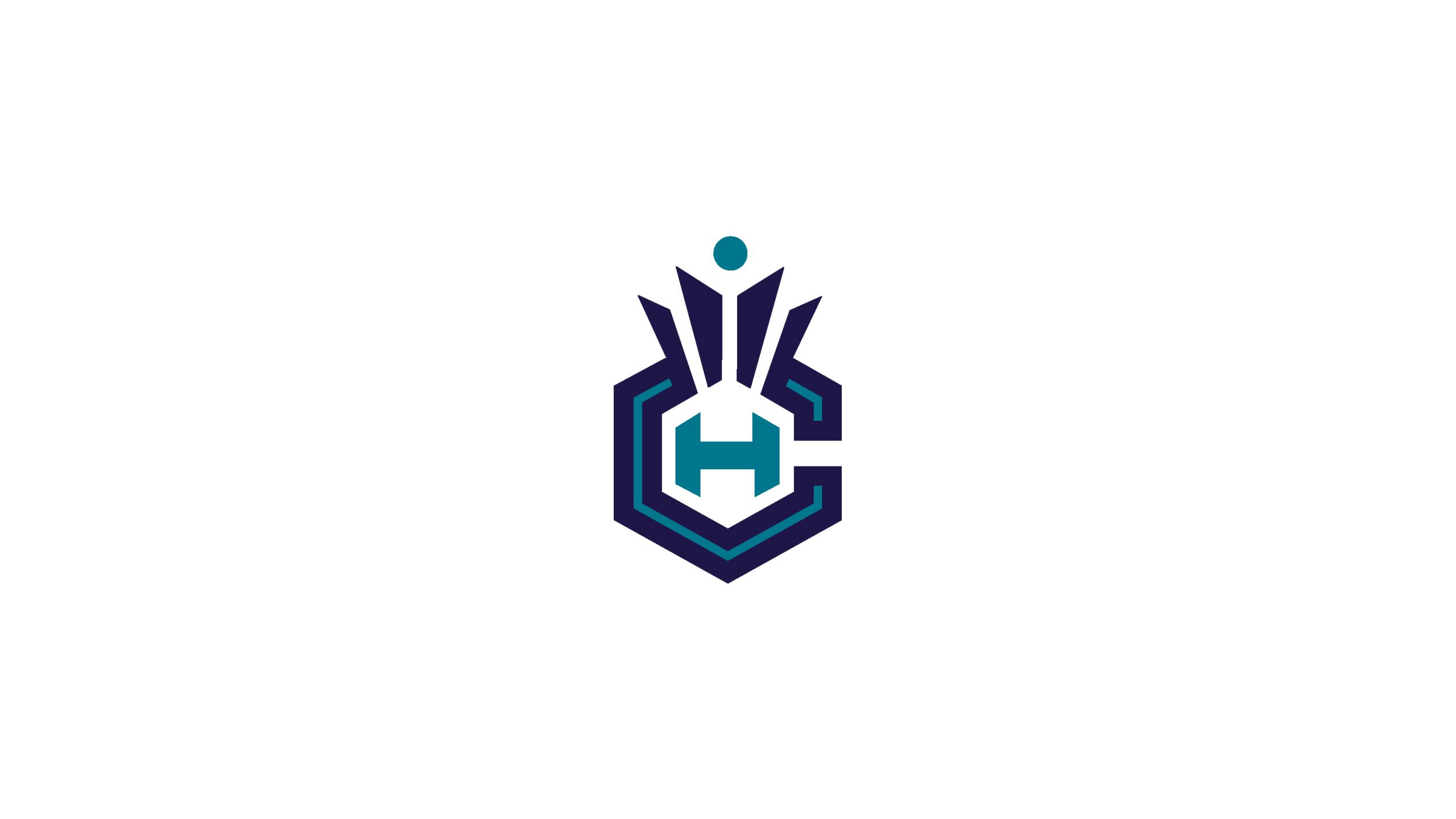 sports, charlotte hornets, basketball, emblem, logo, nba