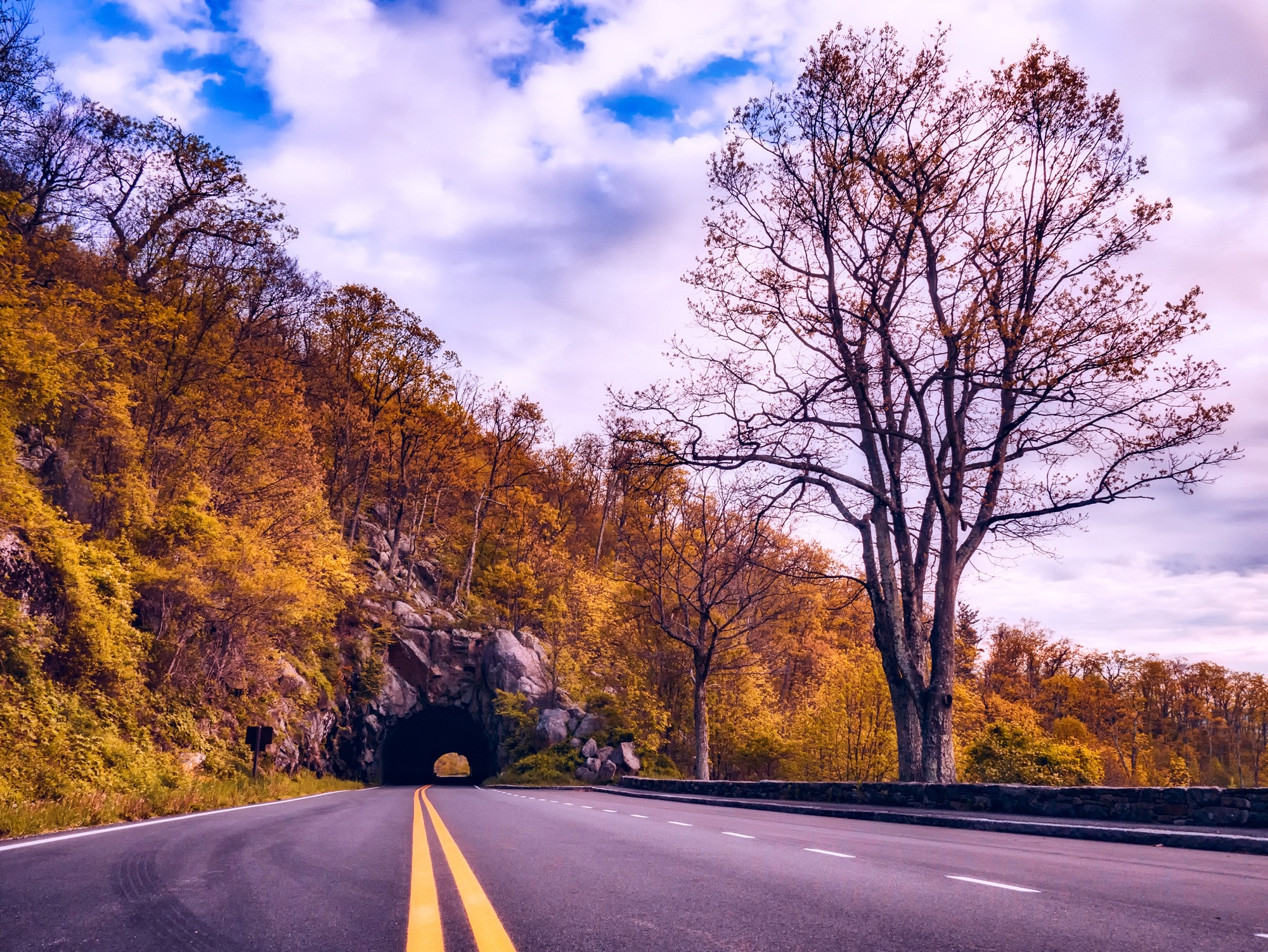 Free download wallpaper Road, Tree, Fall, Tunnel, Man Made on your PC desktop