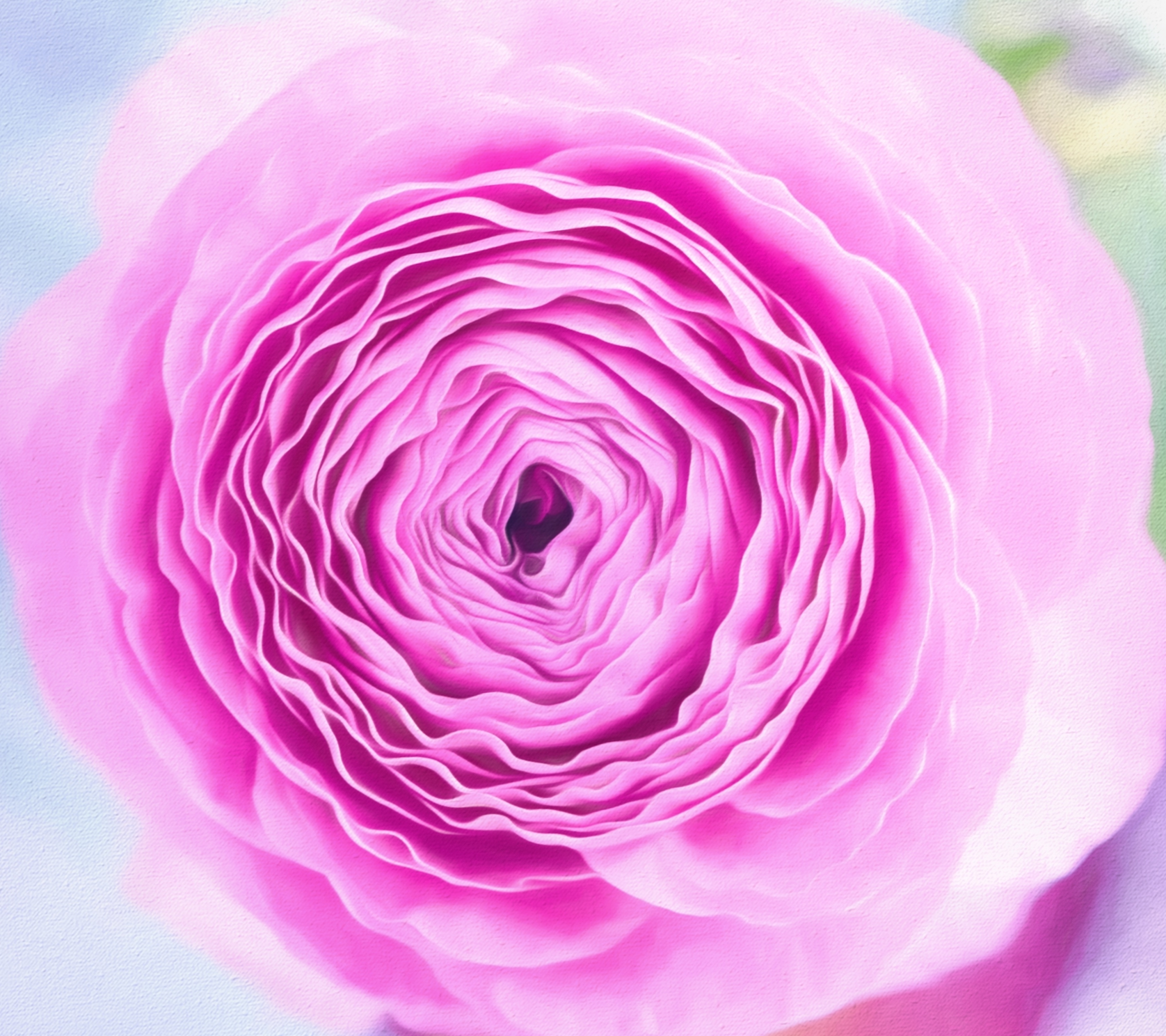 無料モバイル壁紙自然, フラワーズ, 花, つぼみ, 閉じる, 地球, ピンクの花をダウンロードします。
