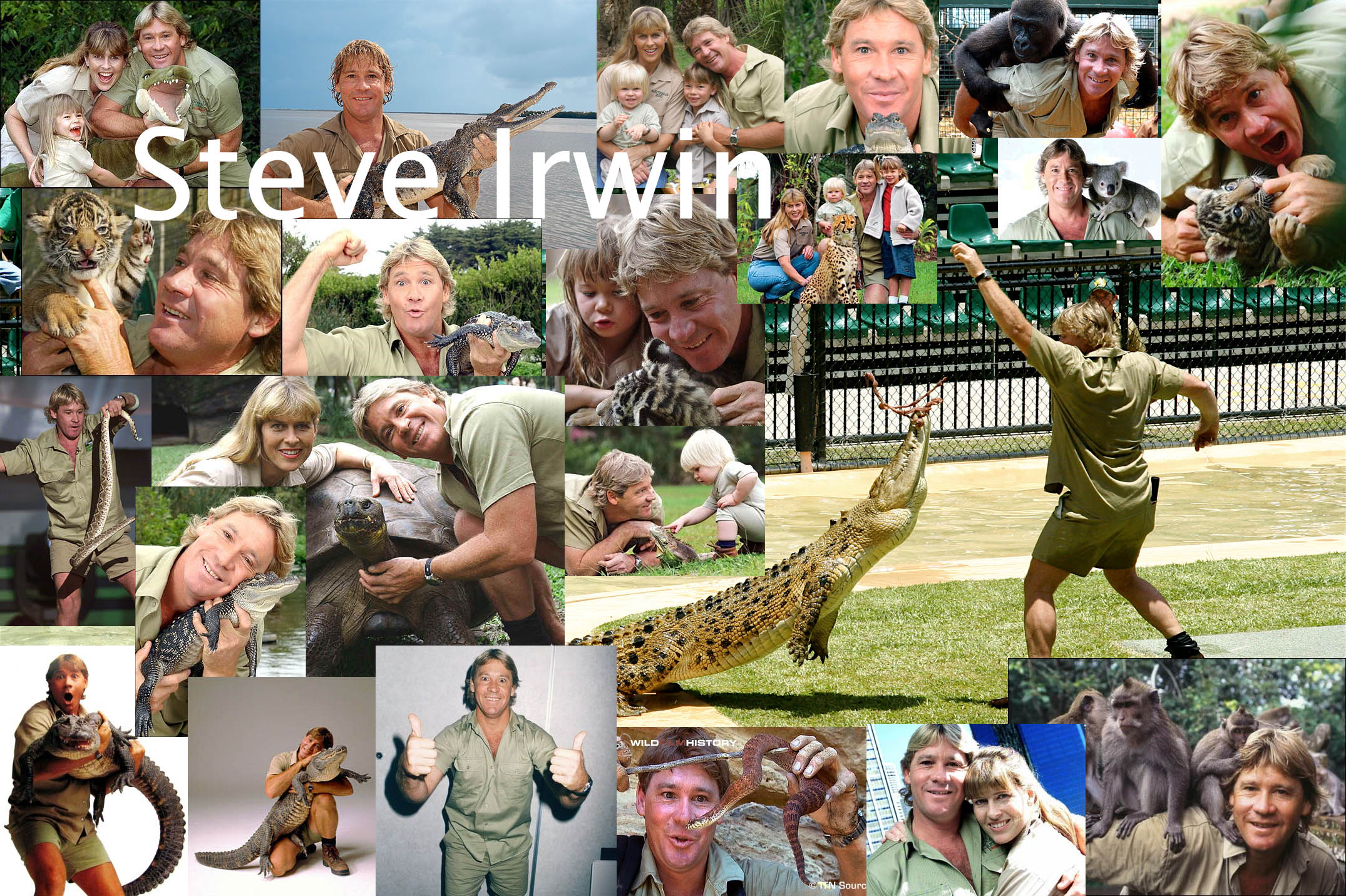 Téléchargez des papiers peints mobile Célébrités, Steve Irwin gratuitement.