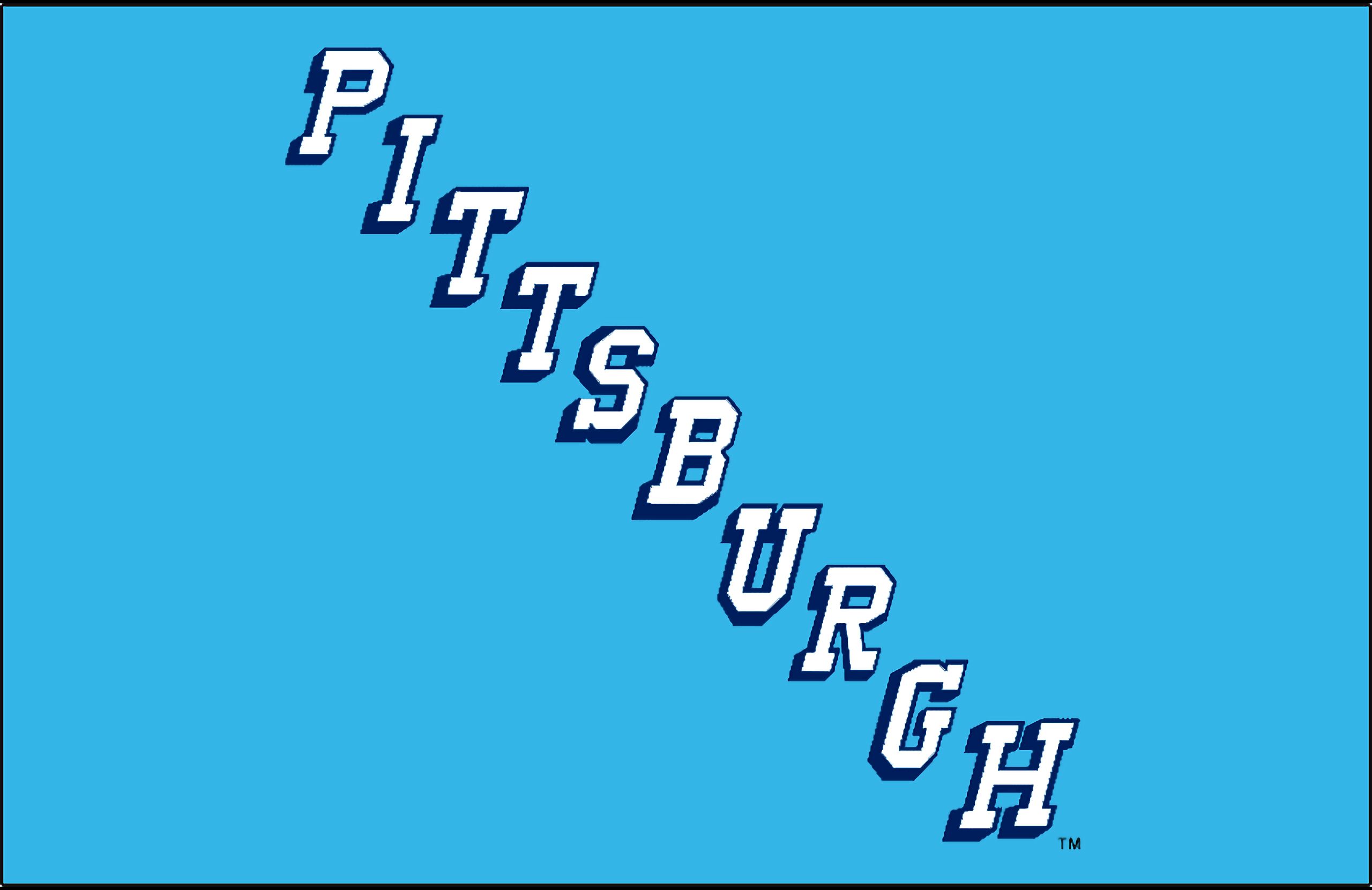 Baixe gratuitamente a imagem Esportes, Pinguins De Pittsburgh na área de trabalho do seu PC