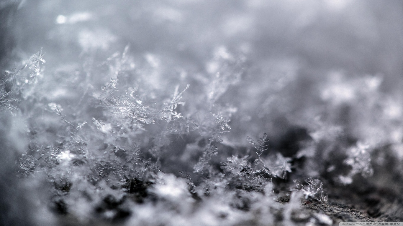 Descarga gratis la imagen Copo De Nieve, Tierra/naturaleza en el escritorio de tu PC