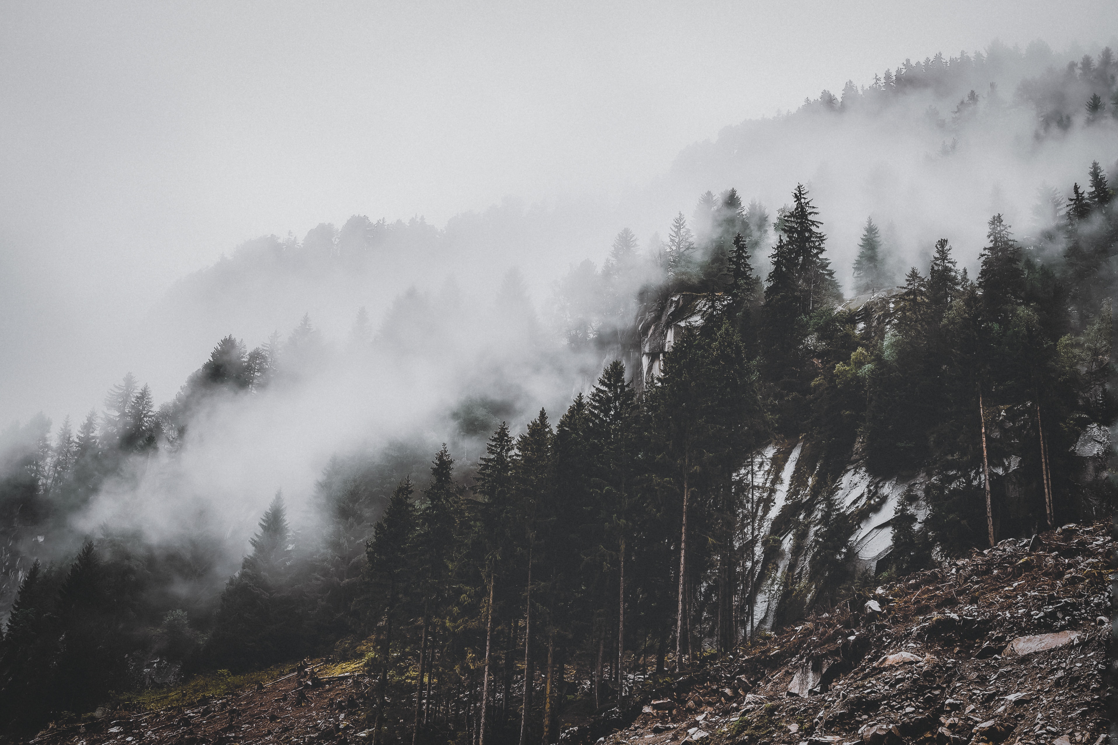 Handy-Wallpaper Natur, Bäume, Clouds, Berg, Nebel, Steigung kostenlos herunterladen.