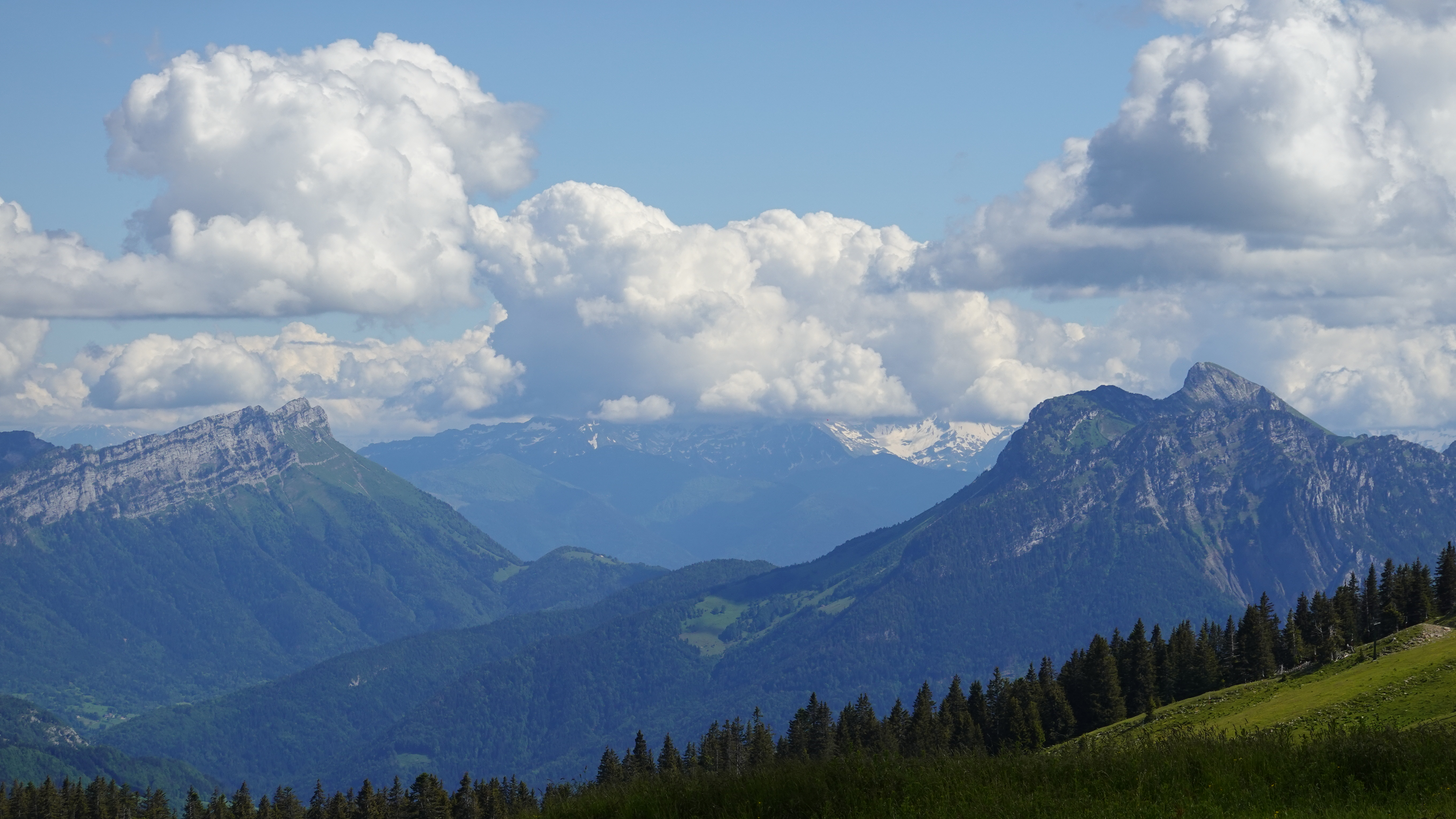 trees, mountains, landscape, nature, meadow