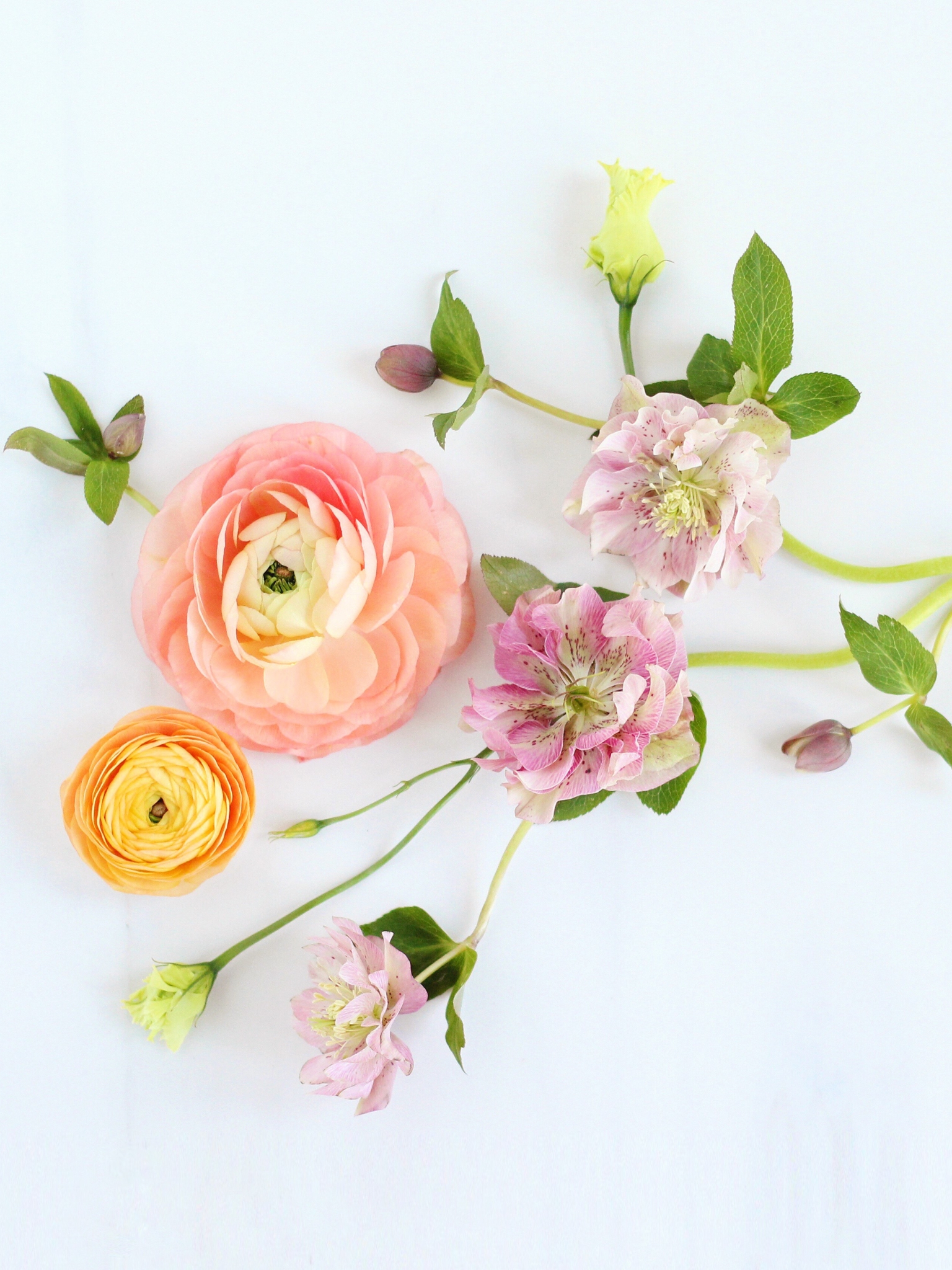 Скачати мобільні шпалери Квітка, Весна, Художній, Пастель, Флауерзи безкоштовно.